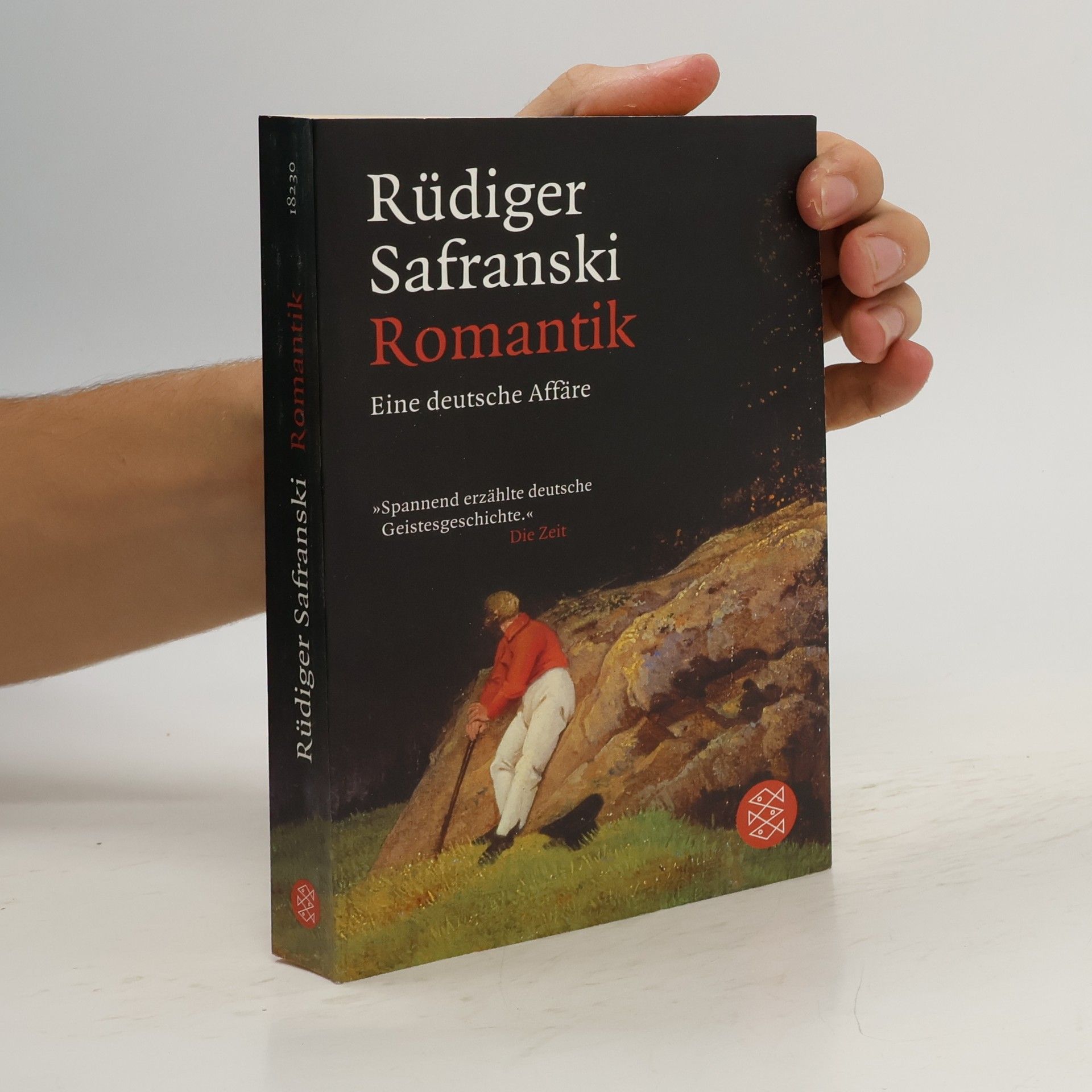 Rüdiger Safranski Romantik