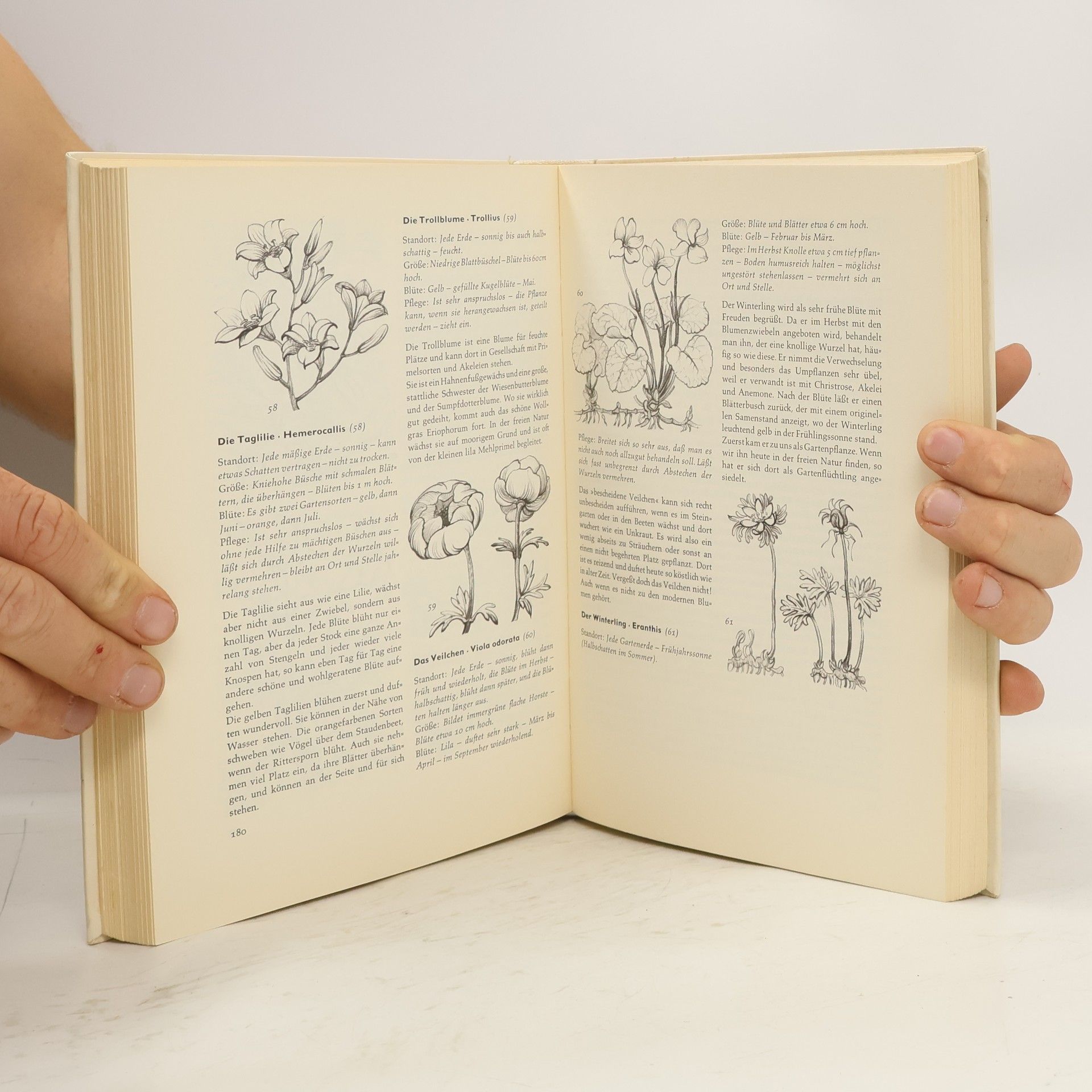 Irmgard Zacharias Garten buch der Bücher gilde