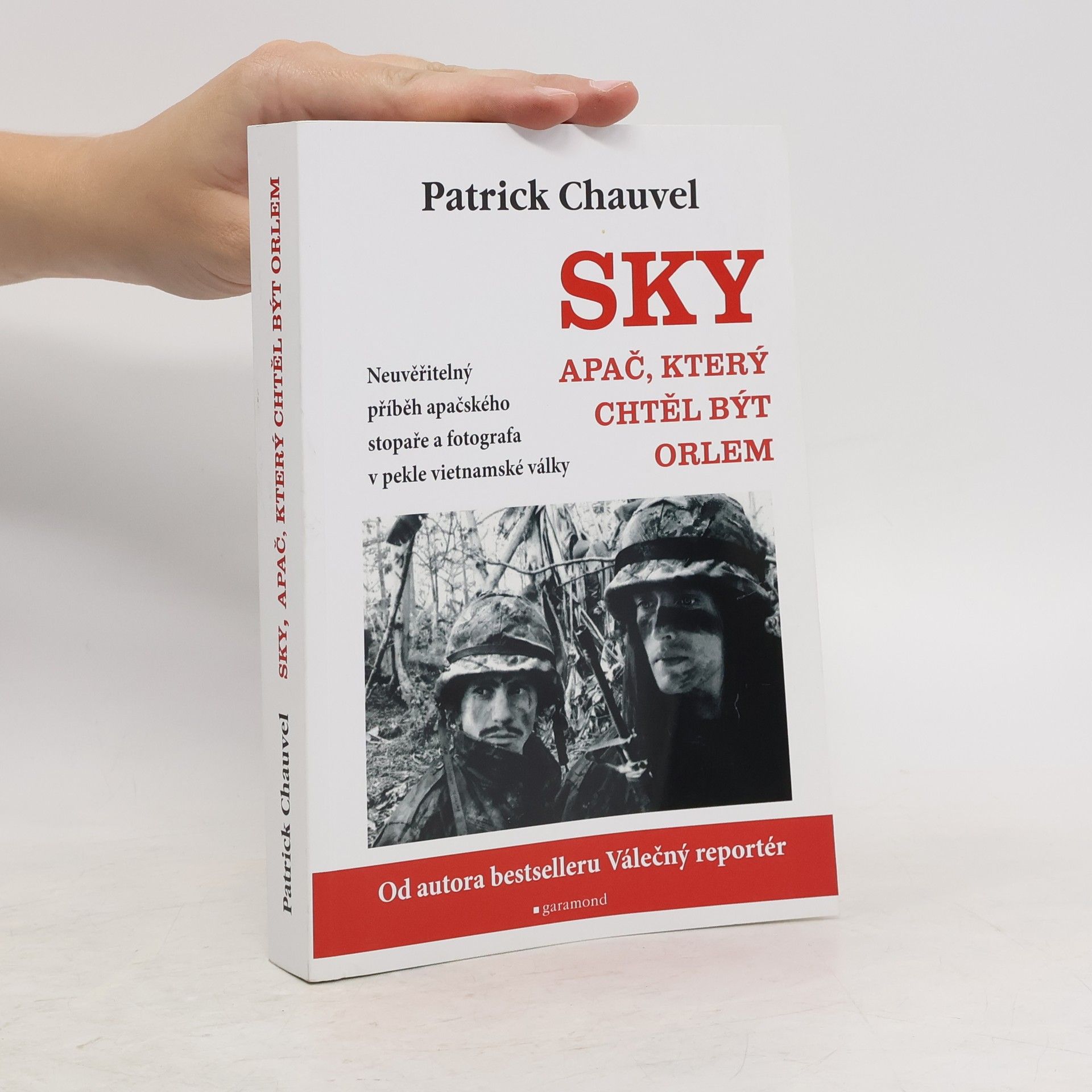 Patrick Chauvel Sky : Apač, který chtěl být orlem