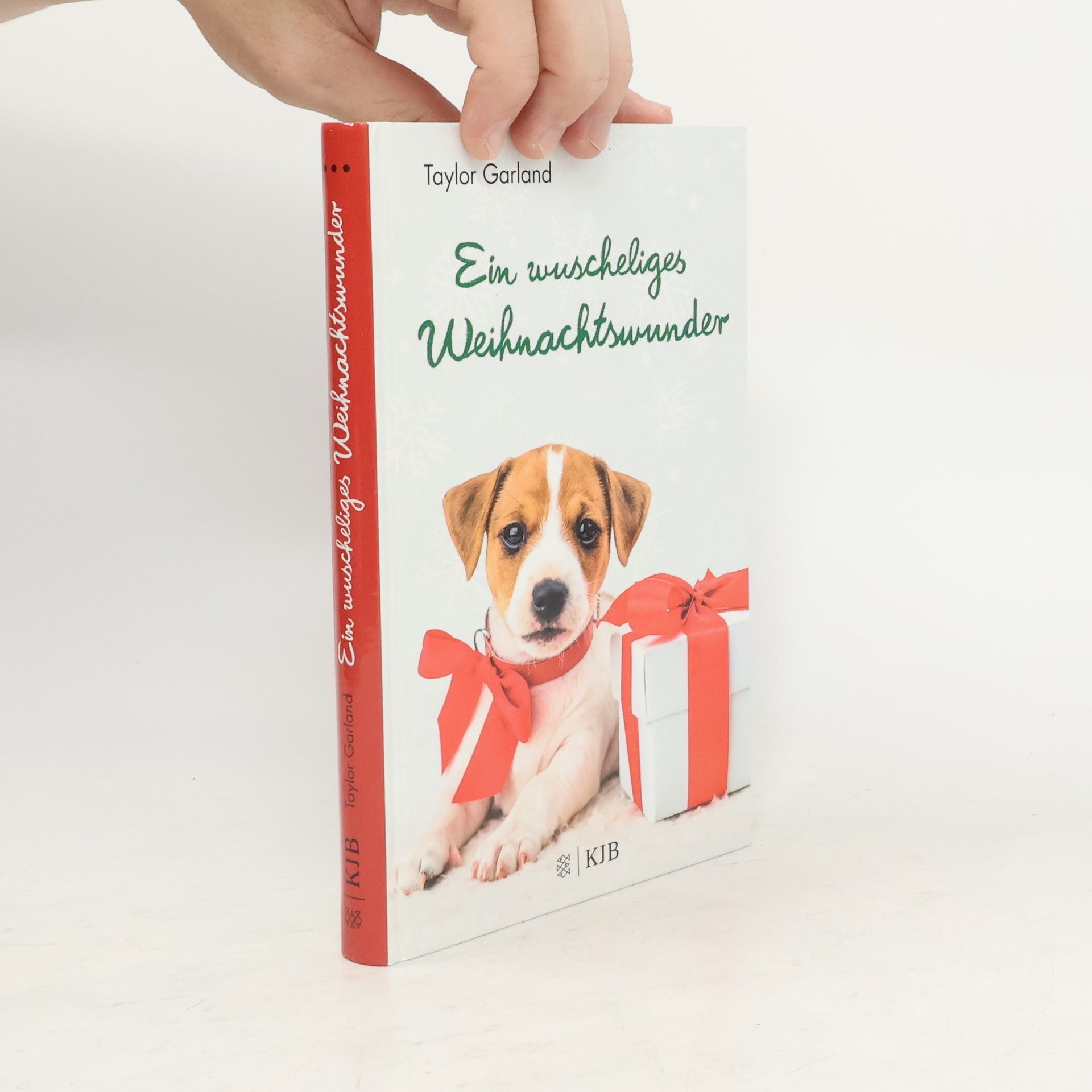 Taylor Garland Ein wuscheliges Weihnachtswunder