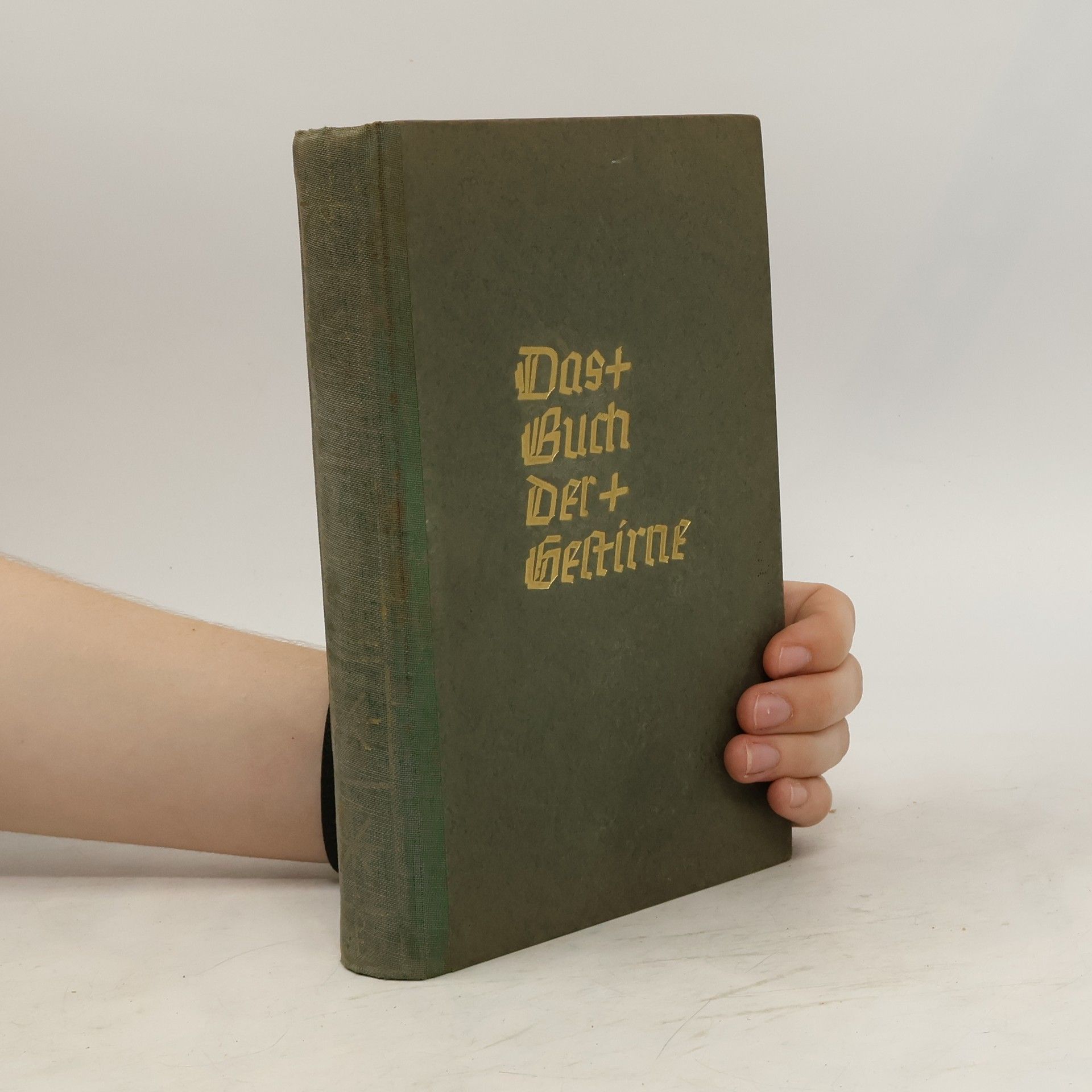 Paul Wilhelm Magnus Das Buch der Gehirne