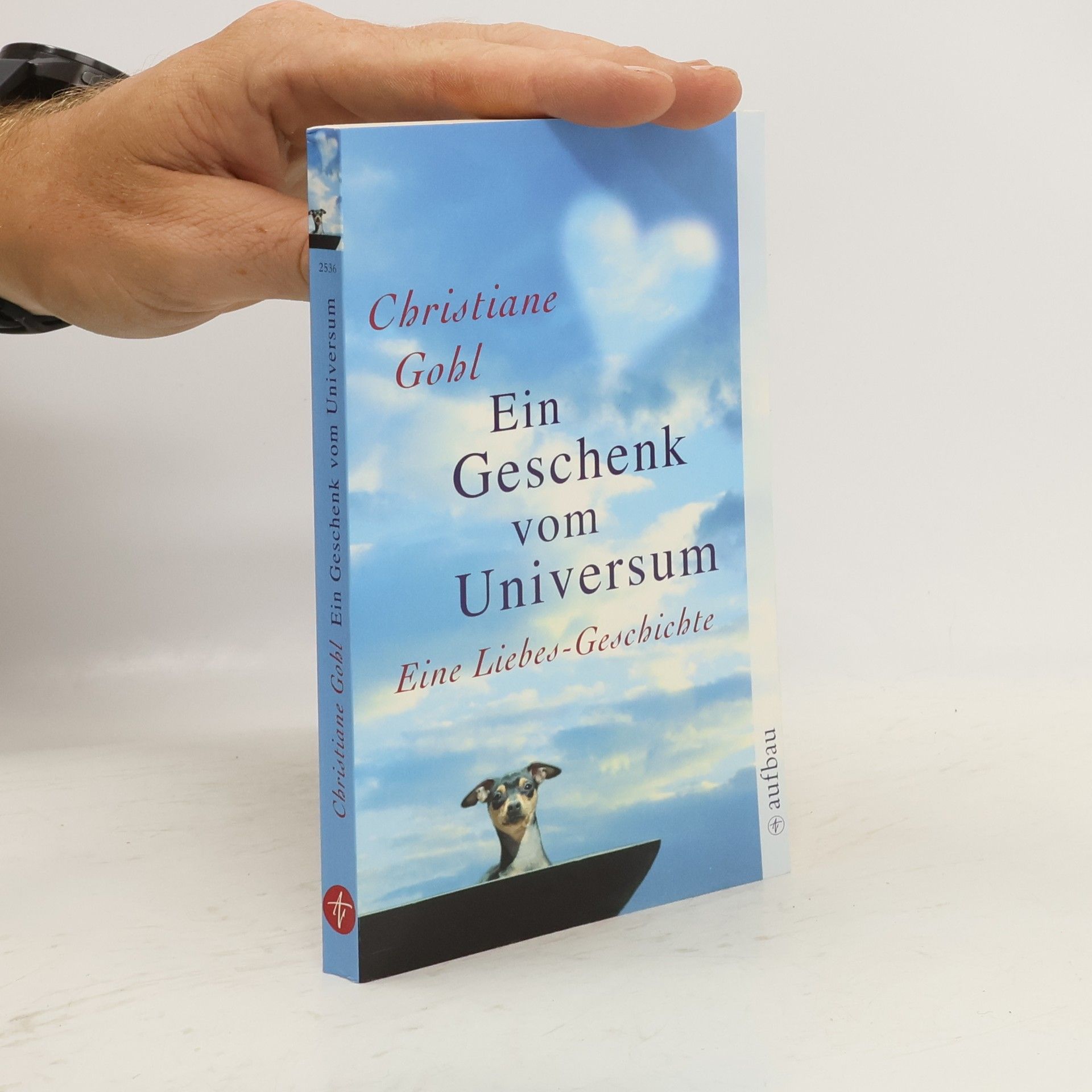 Christiane Gohl Ein Geschenk vom Universum. Eine Liebes-Geschichte