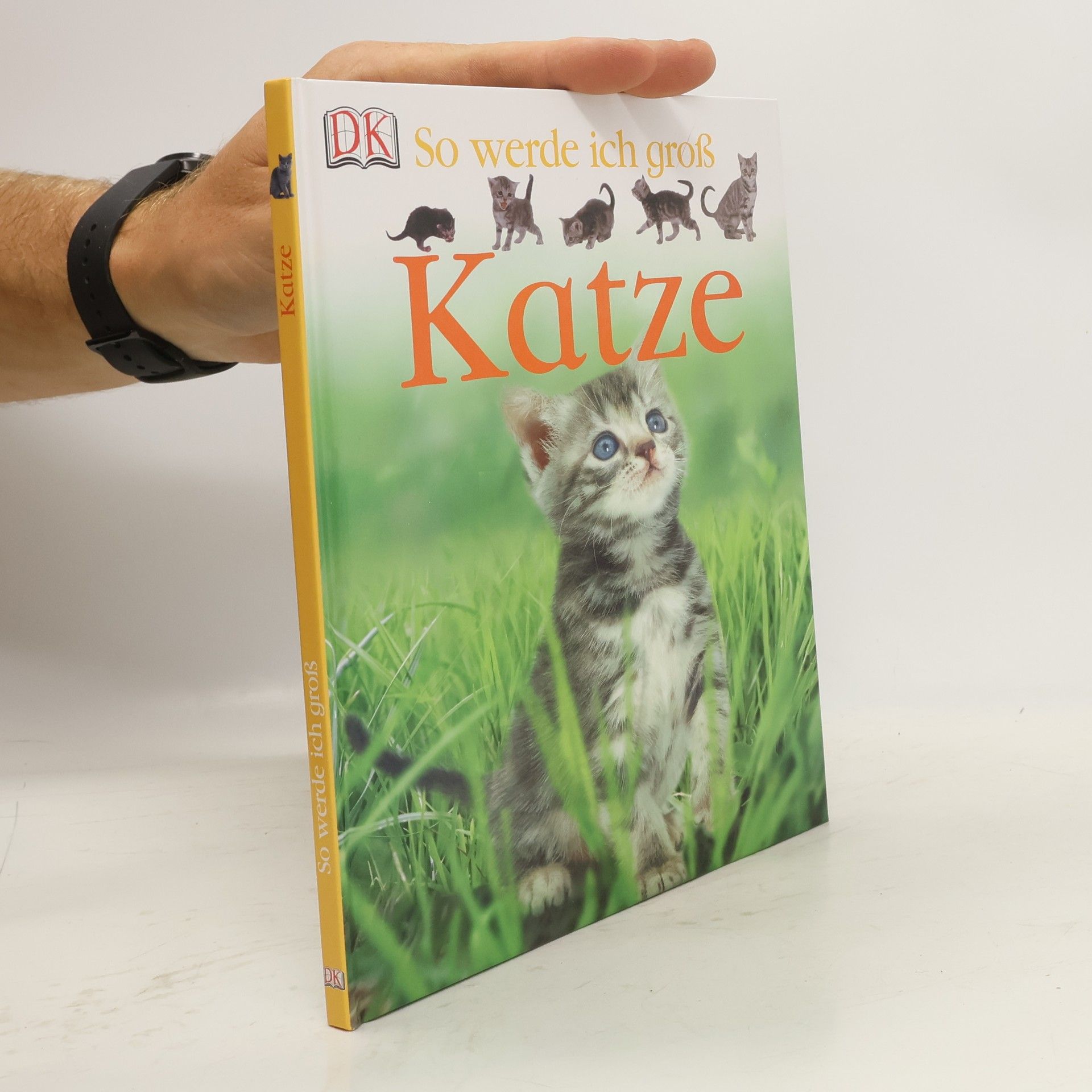 Lisa Magloff Katze