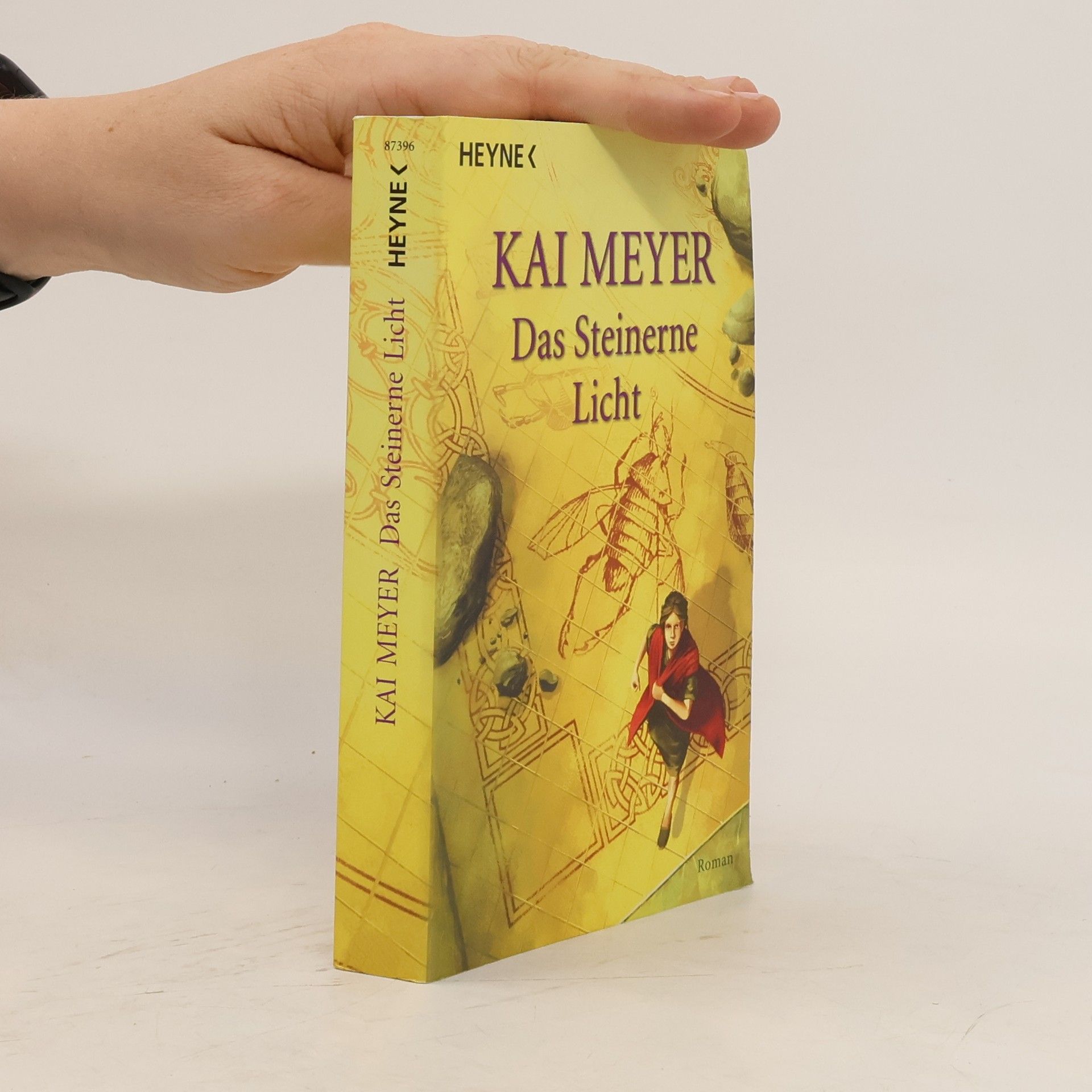 Kai Meyer Das steinerne Licht