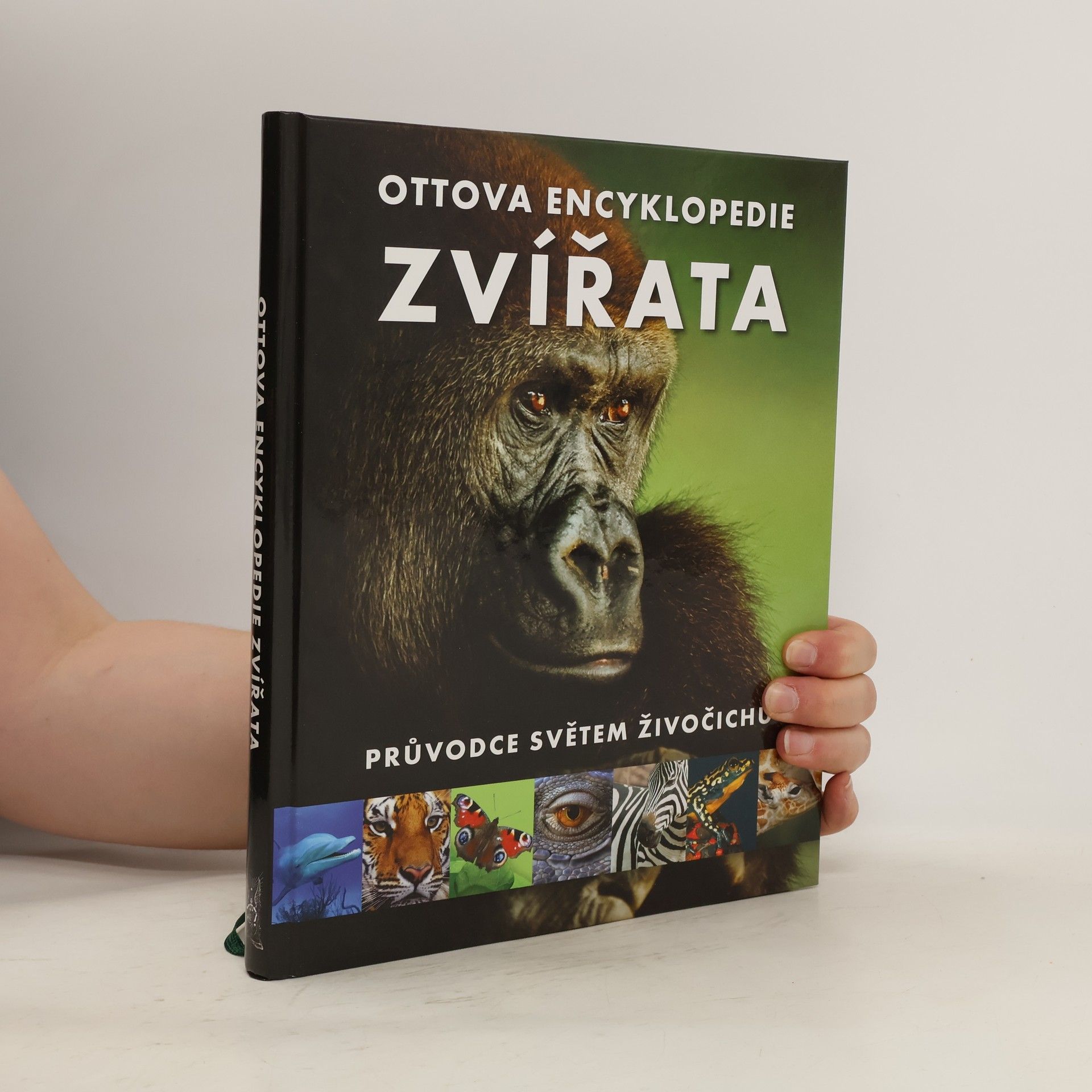 Romana Anděrová Zvířata : Ottova encyklopedie : průvodce světem živočichů