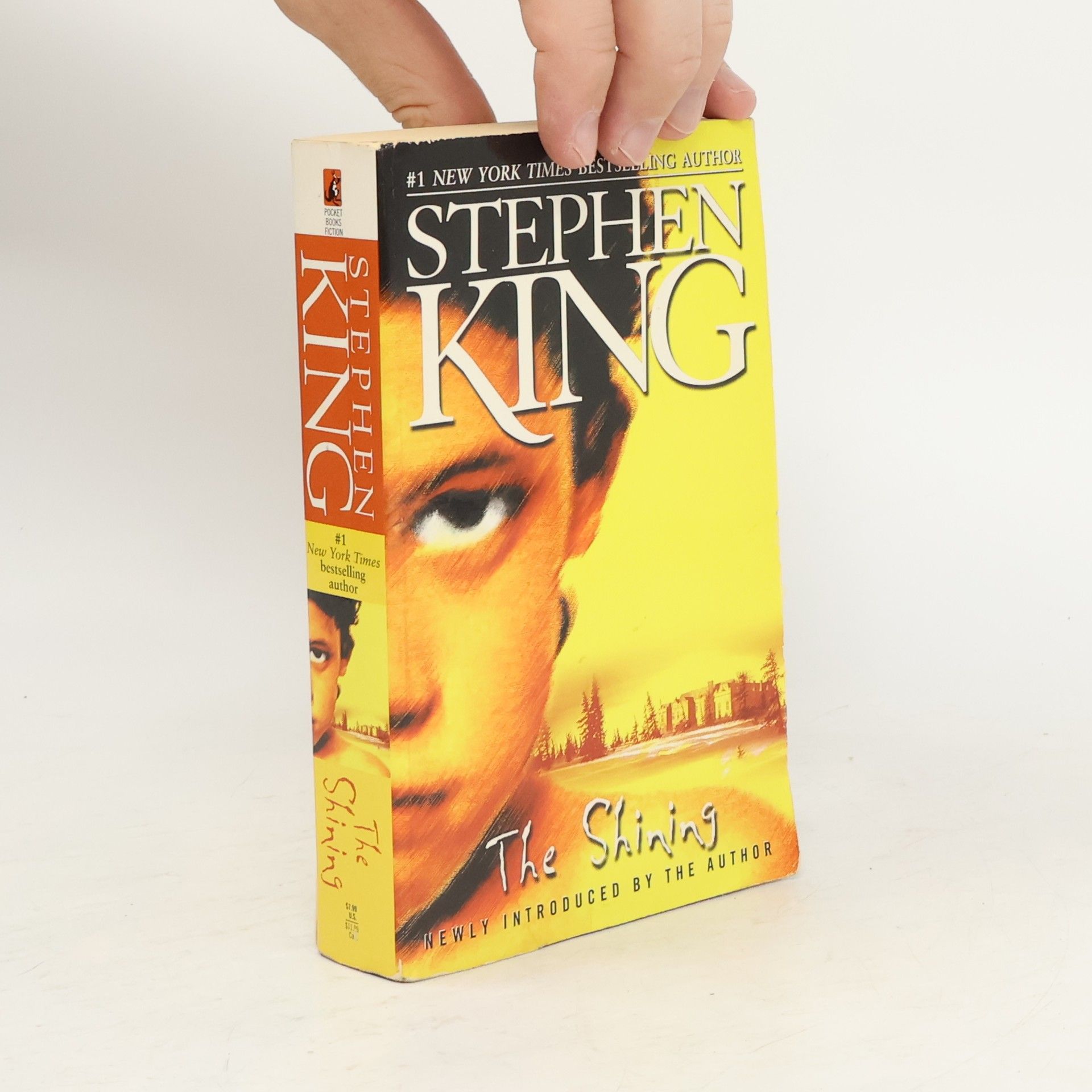 Stephen King The Shining