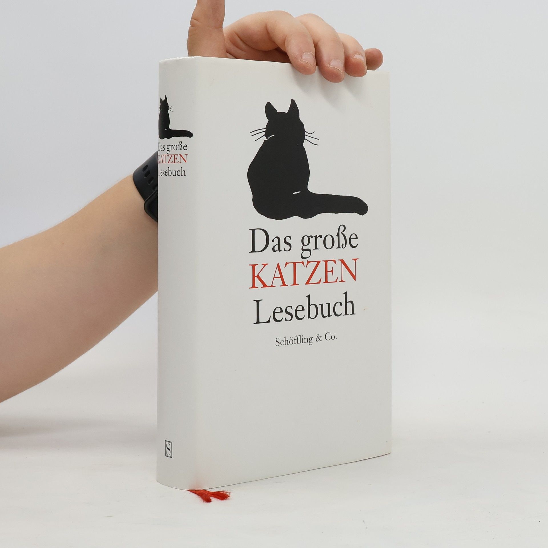 Julia Bachstein Das große Katzen-Lesebuch