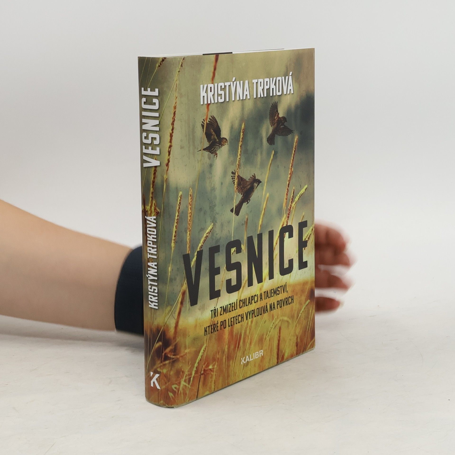 Kristýna Trpková Vesnice