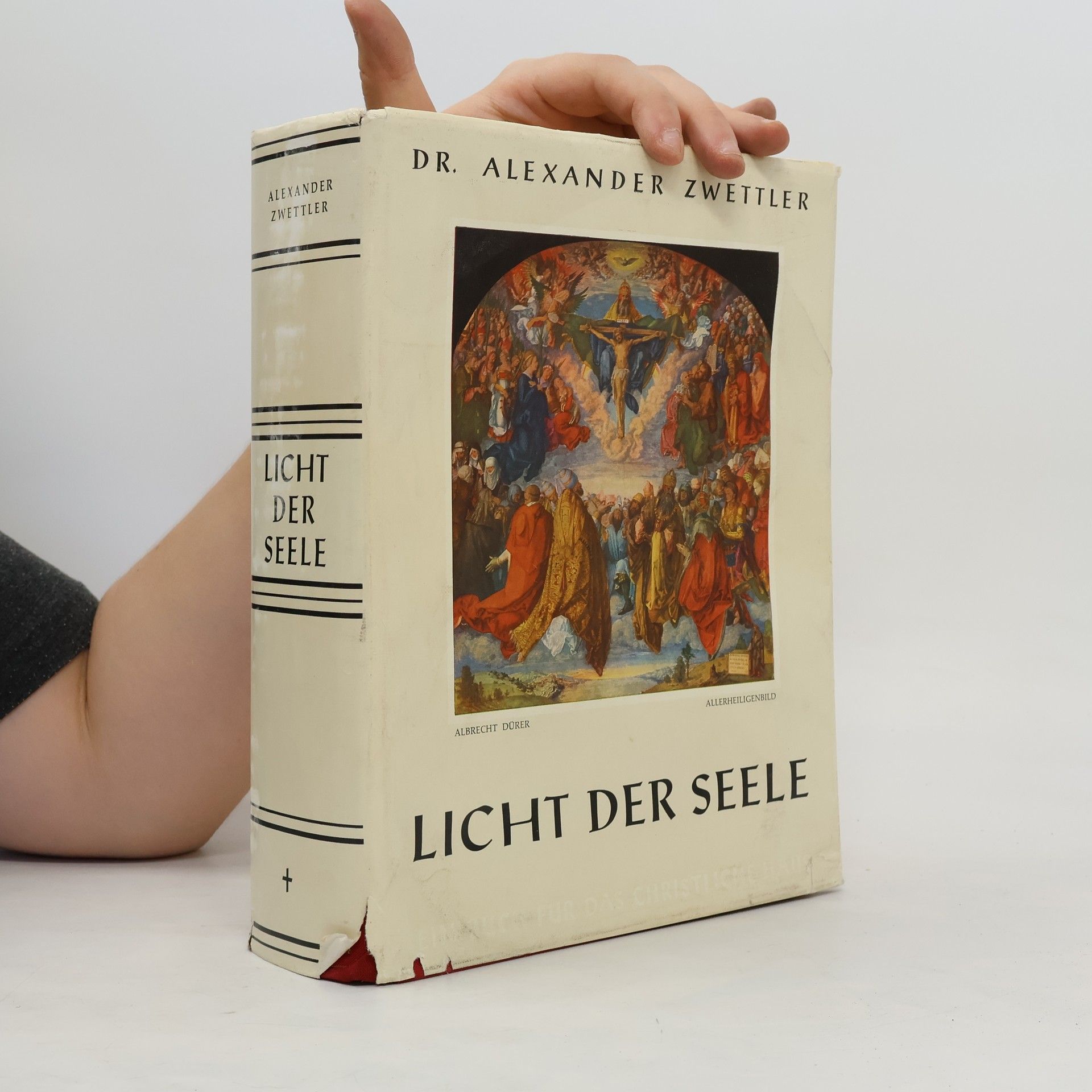 Alexander Zwettler Licht der Seele