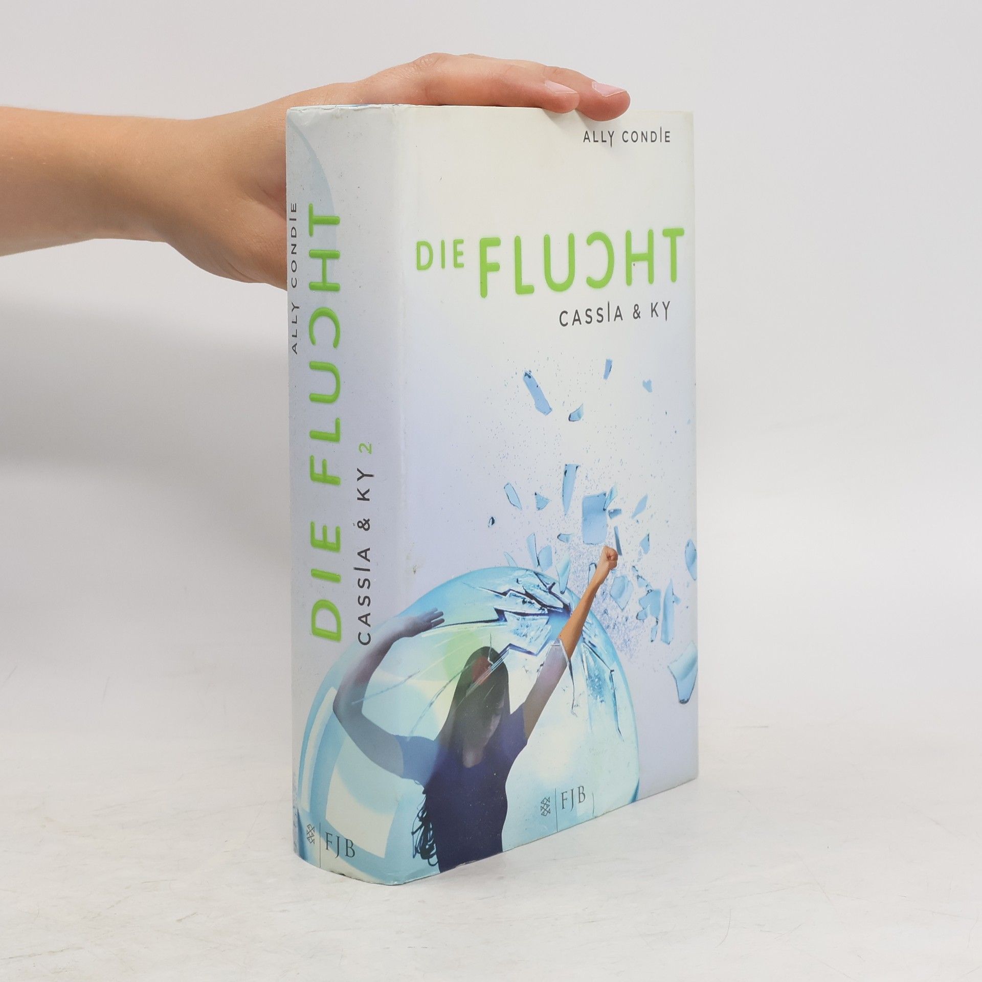 Allyson Braithwaite Condie Die Flucht : Cassia & Ky 2