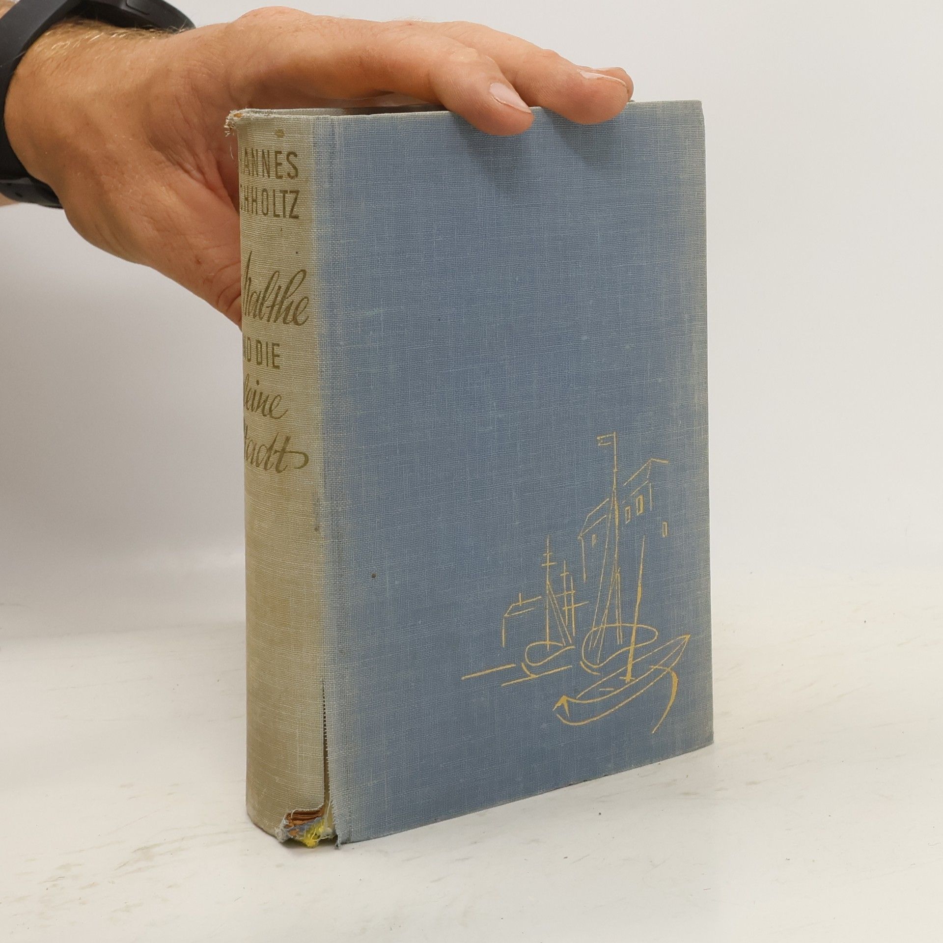 Johannes Buchholtz Dr. Malthe und die kleine Stadt 1. Gute kleine Stadt