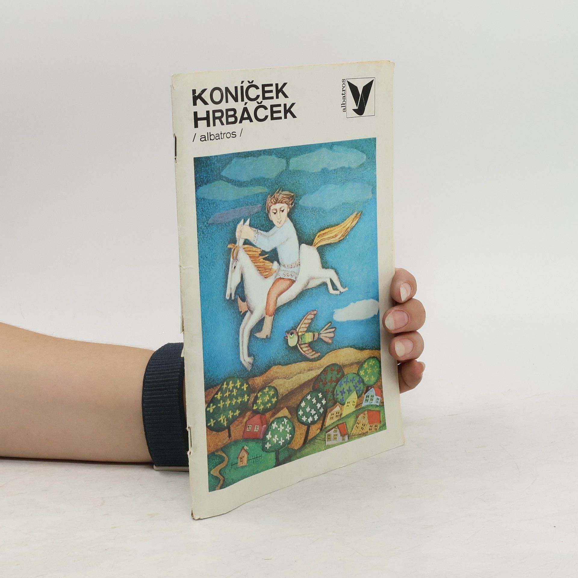 Dagmar Klementová Koníček Hrbáček