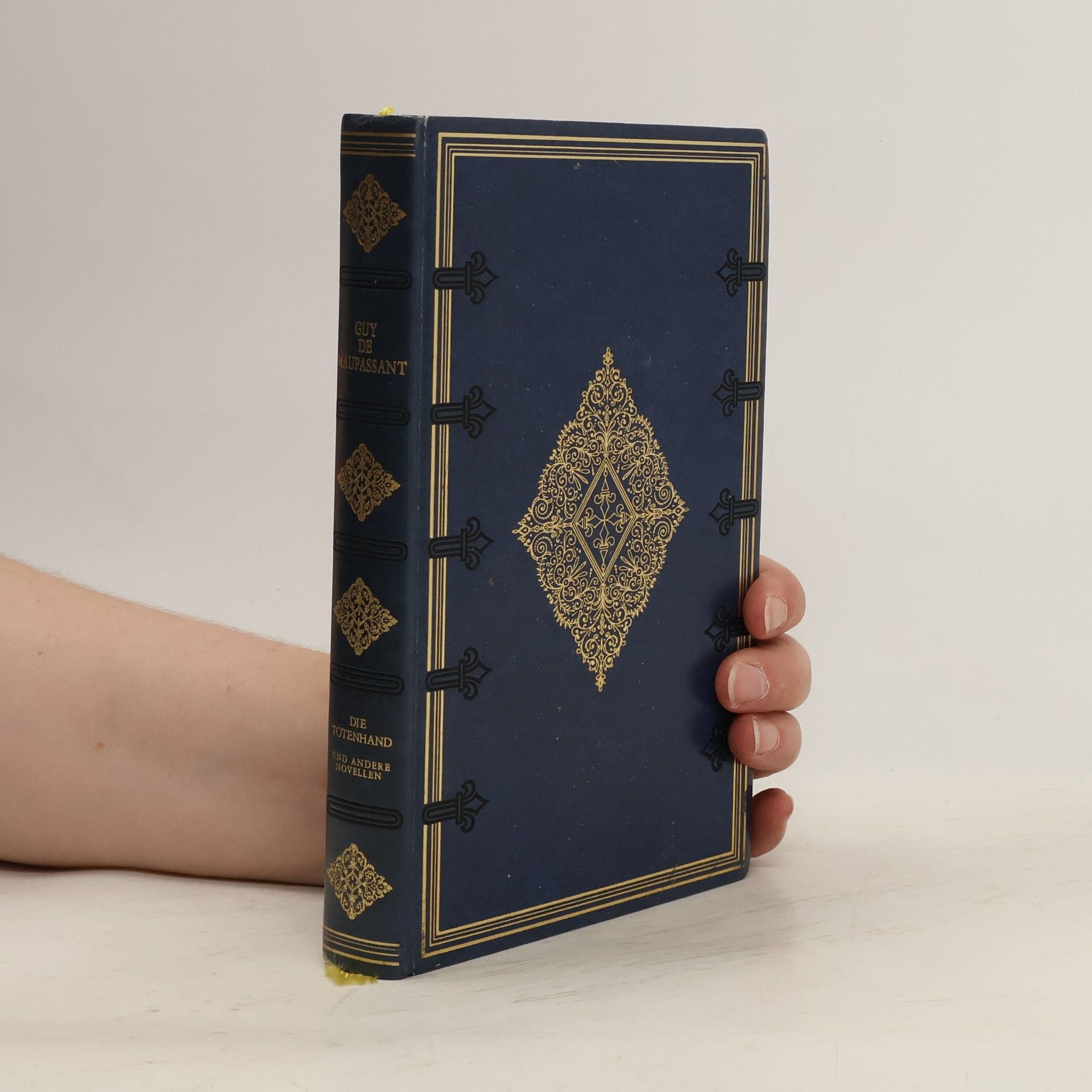 Guy de Maupassant Die Totenhand und andere Novellen