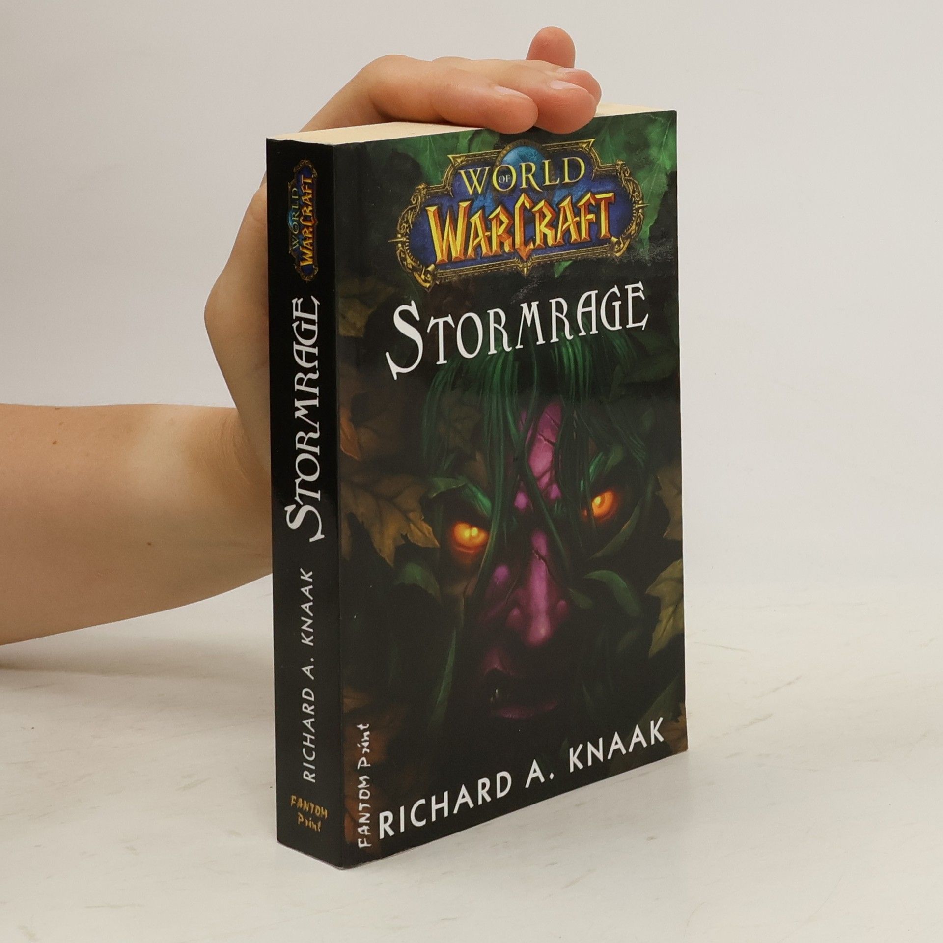 Richard A. Knaak Stormrage