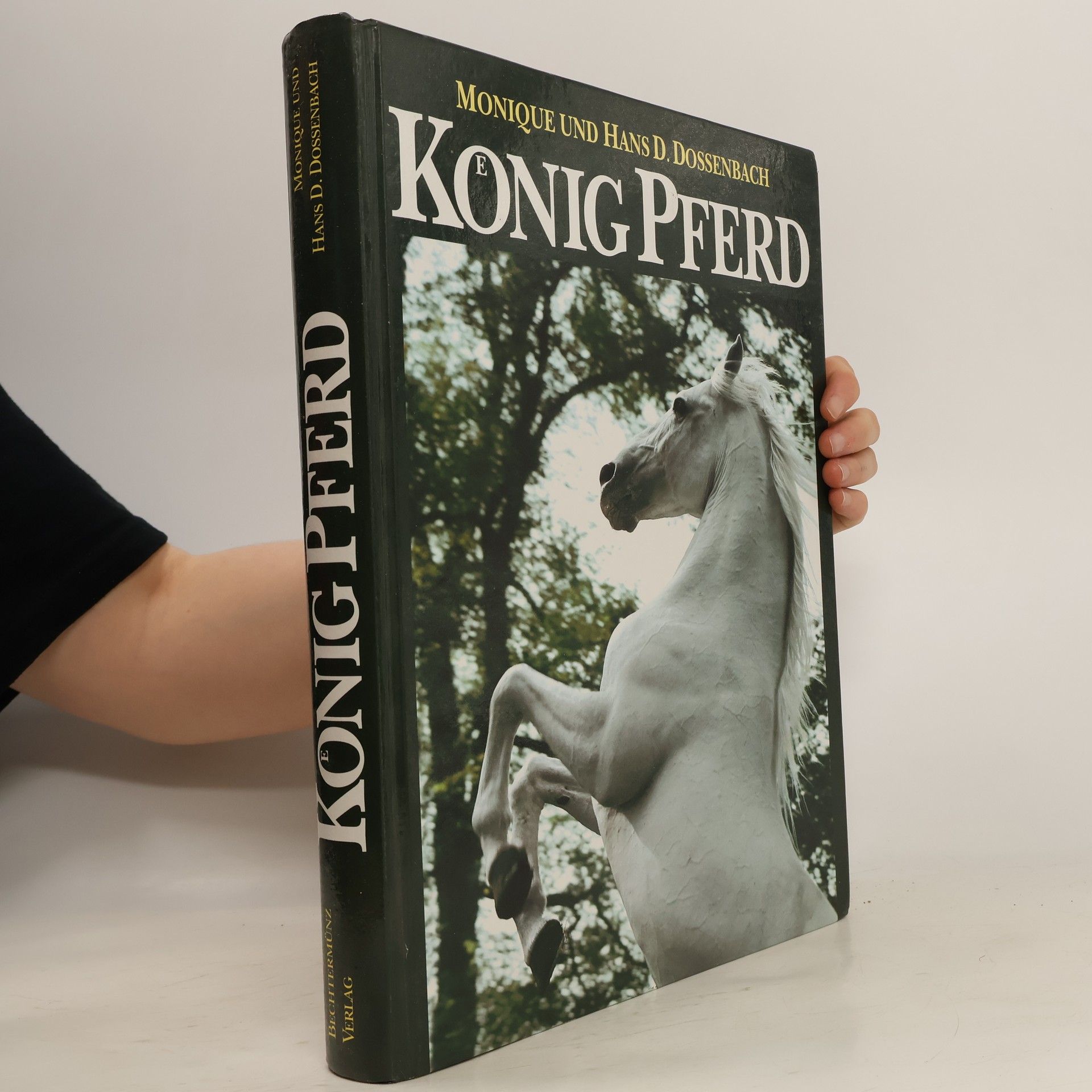 Monique Dossenbach König Pferd