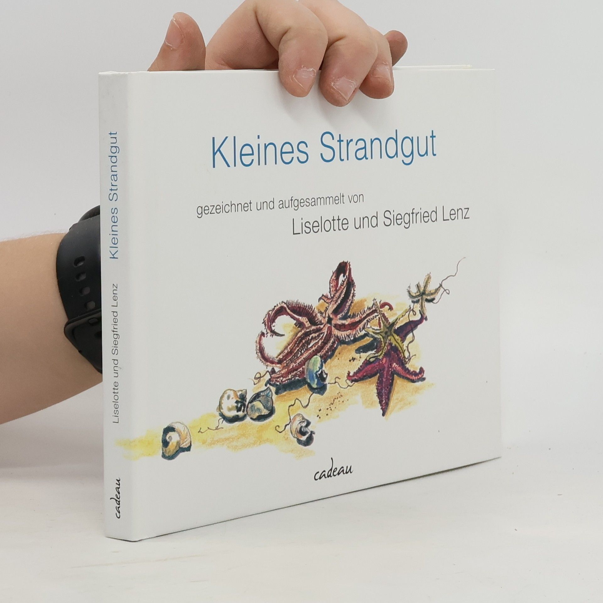 Liselotte Lenz Kleines Strandgut