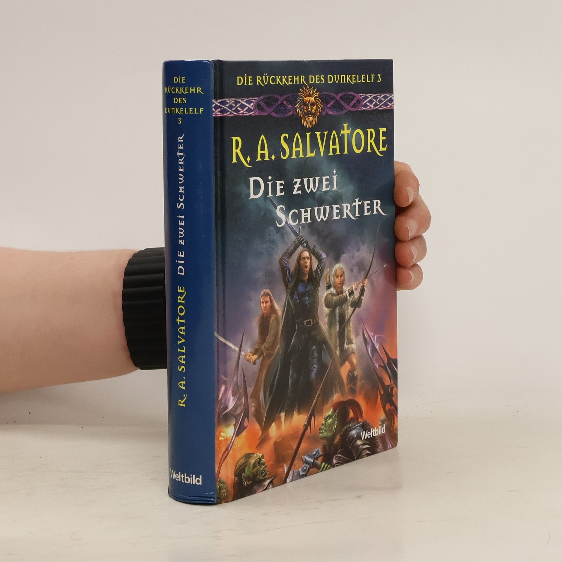 R. A. Salvatore Die zwei Schwerter