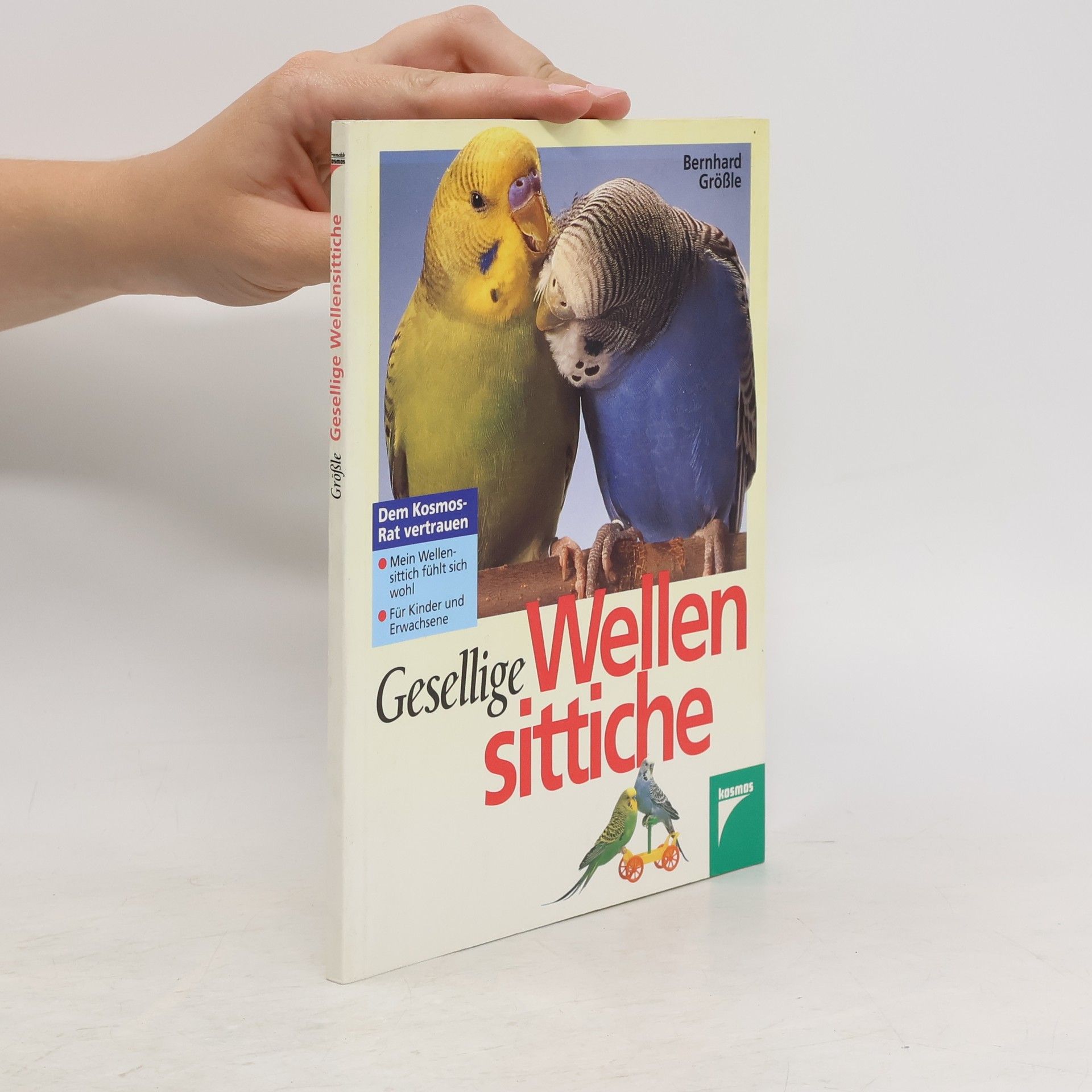 Bernhard Größle Gesellige Wellensittiche