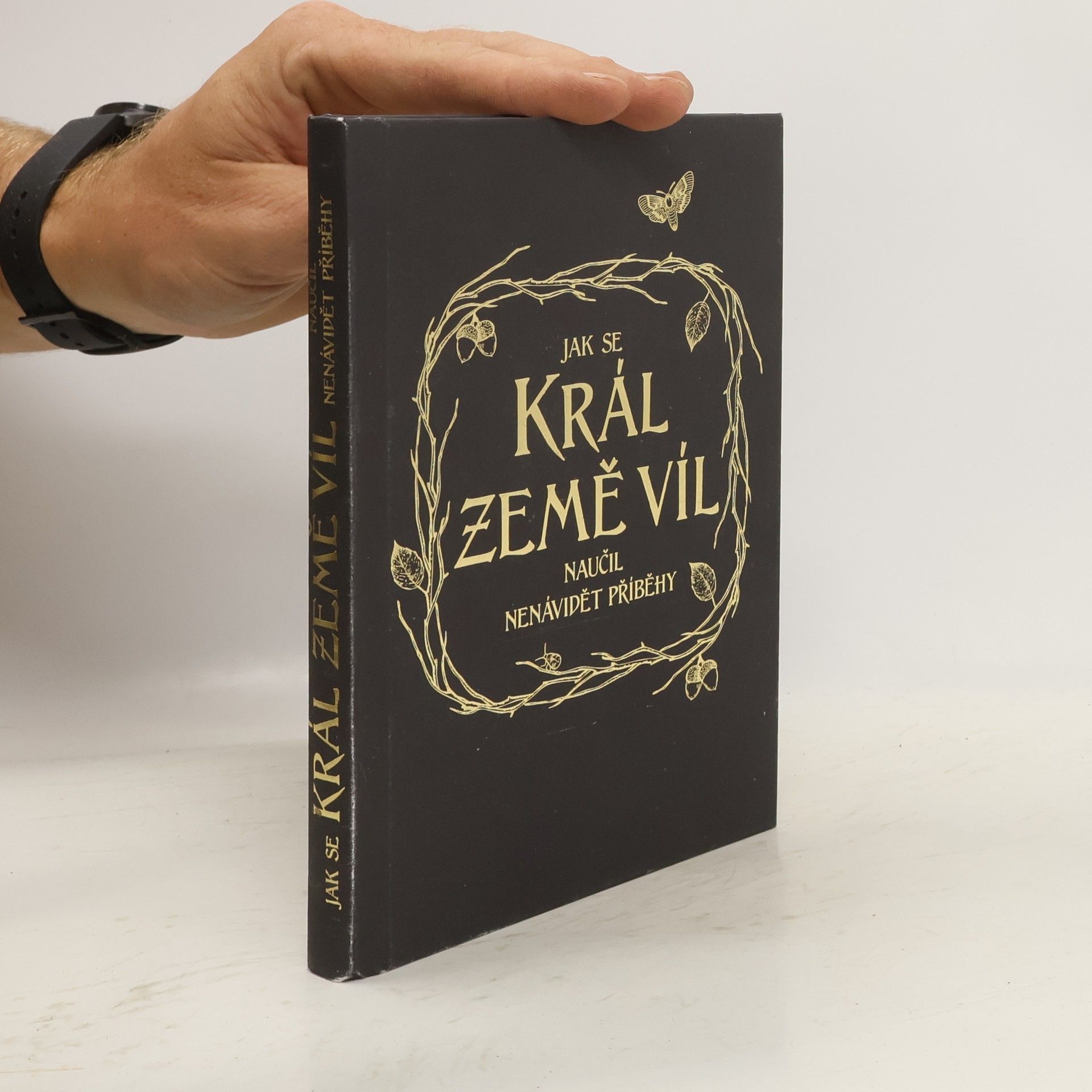 Holly Black Jak se král Země víl naučil nenávidět příběhy