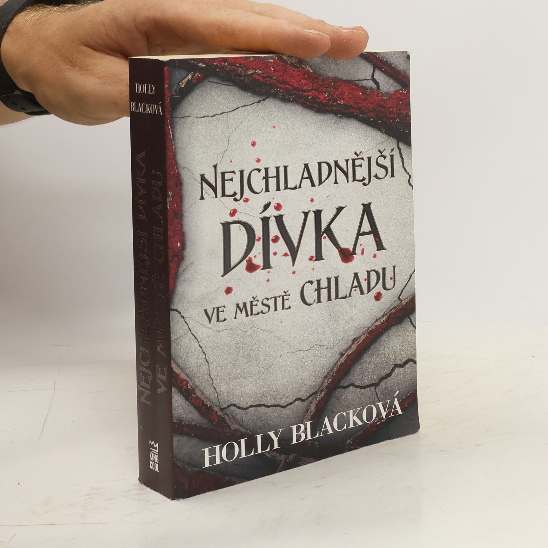 Holly Black Nejchladnější dívka ve městě chladu