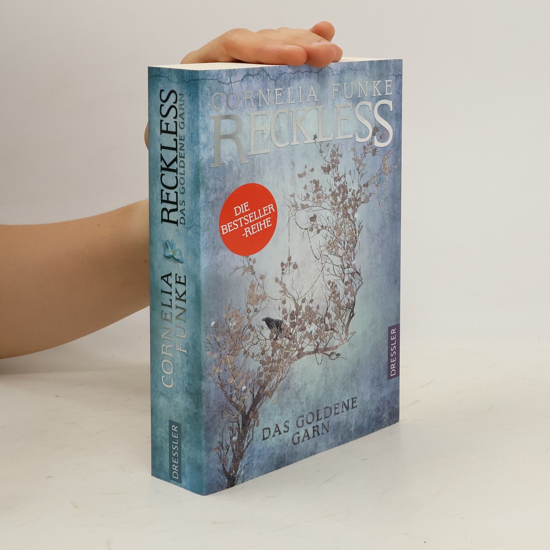 Cornelia Funke Reckless 3. Das goldene Garn