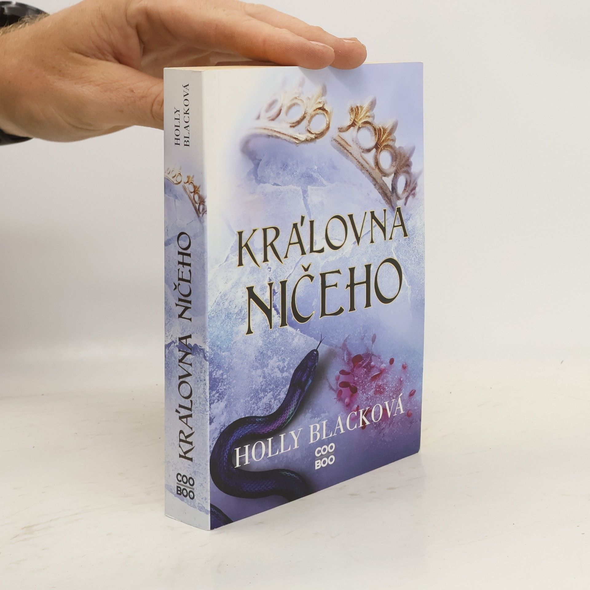 Holly Black Královna ničeho