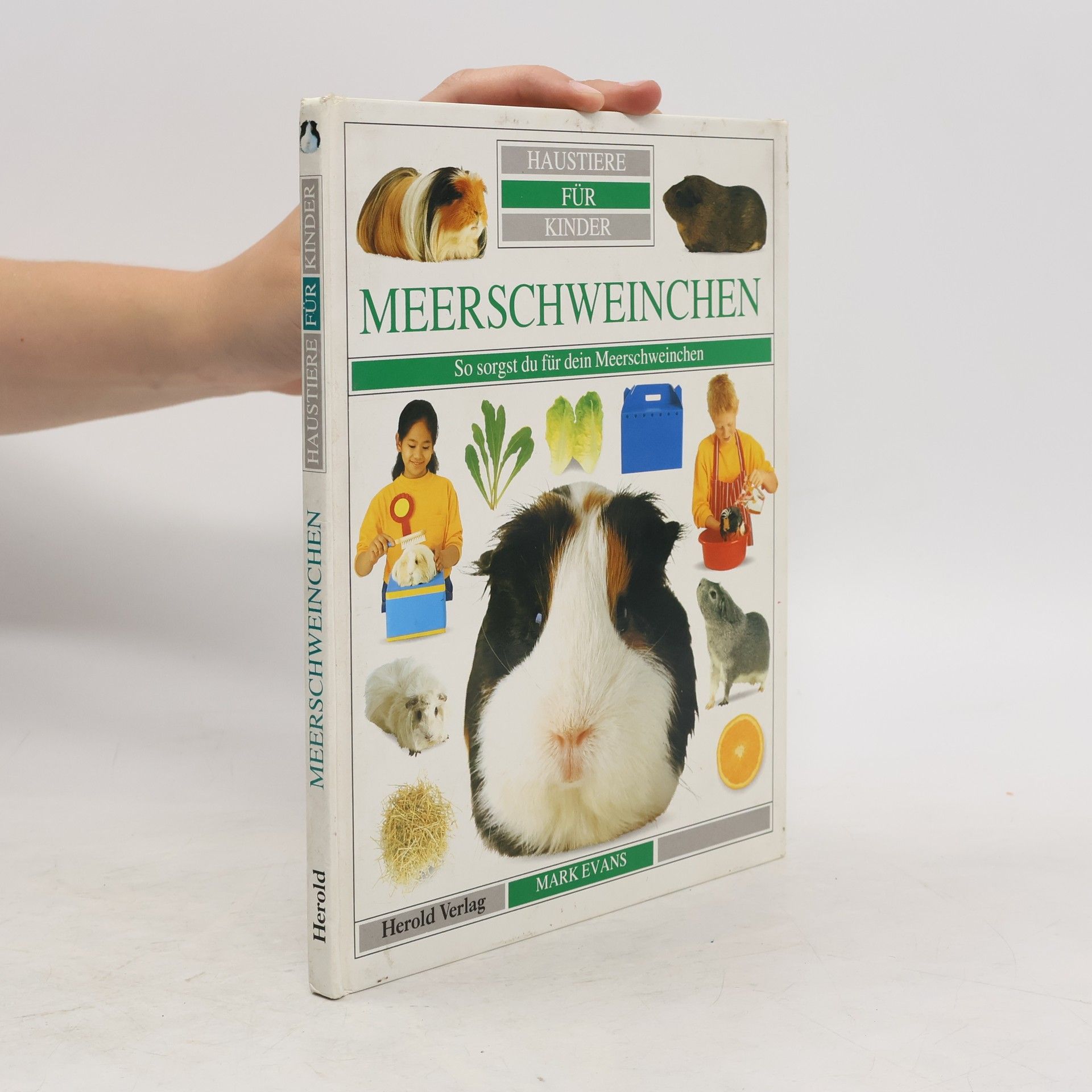 kolektiv Haustiere für Kinder. Meerschweinchen
