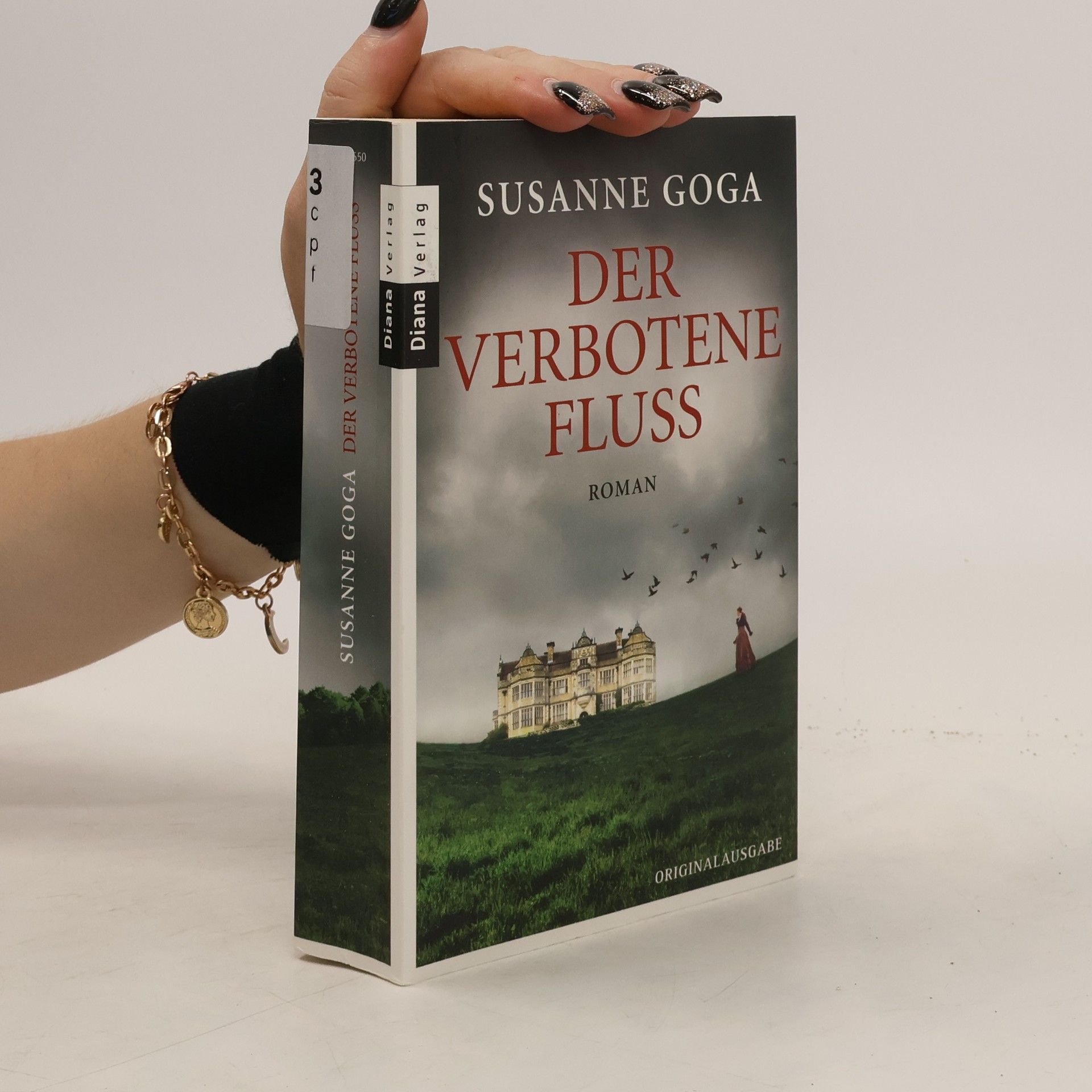 Susanne Goga Der verbotene Fluss