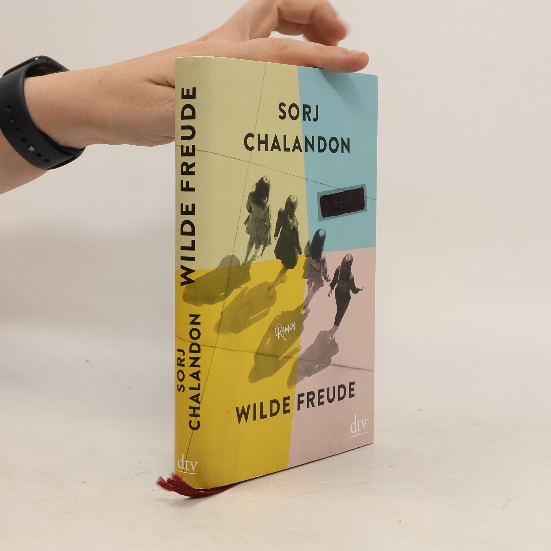 Sorj Chalandon Wilde Freude