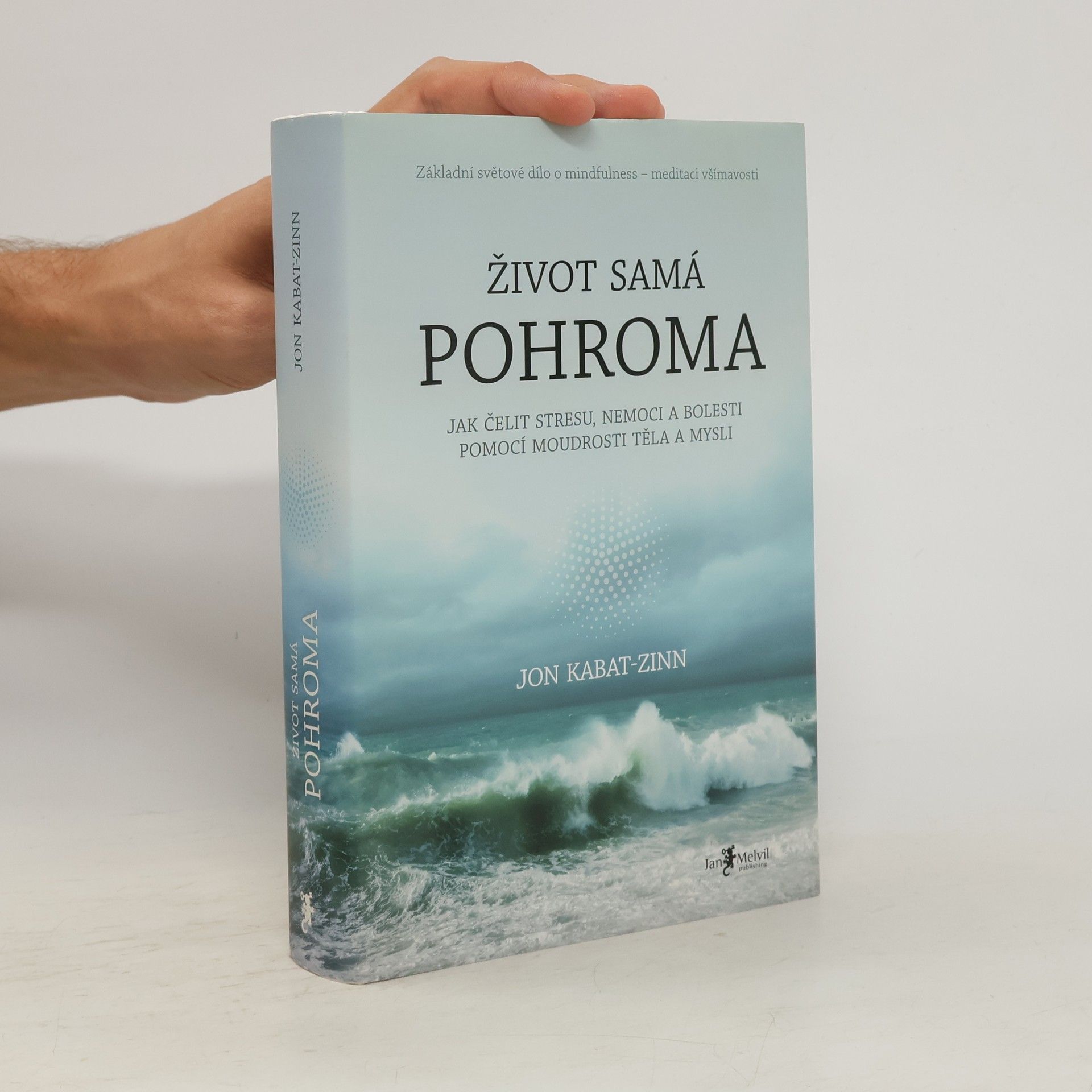 Libor Válek Život samá pohroma