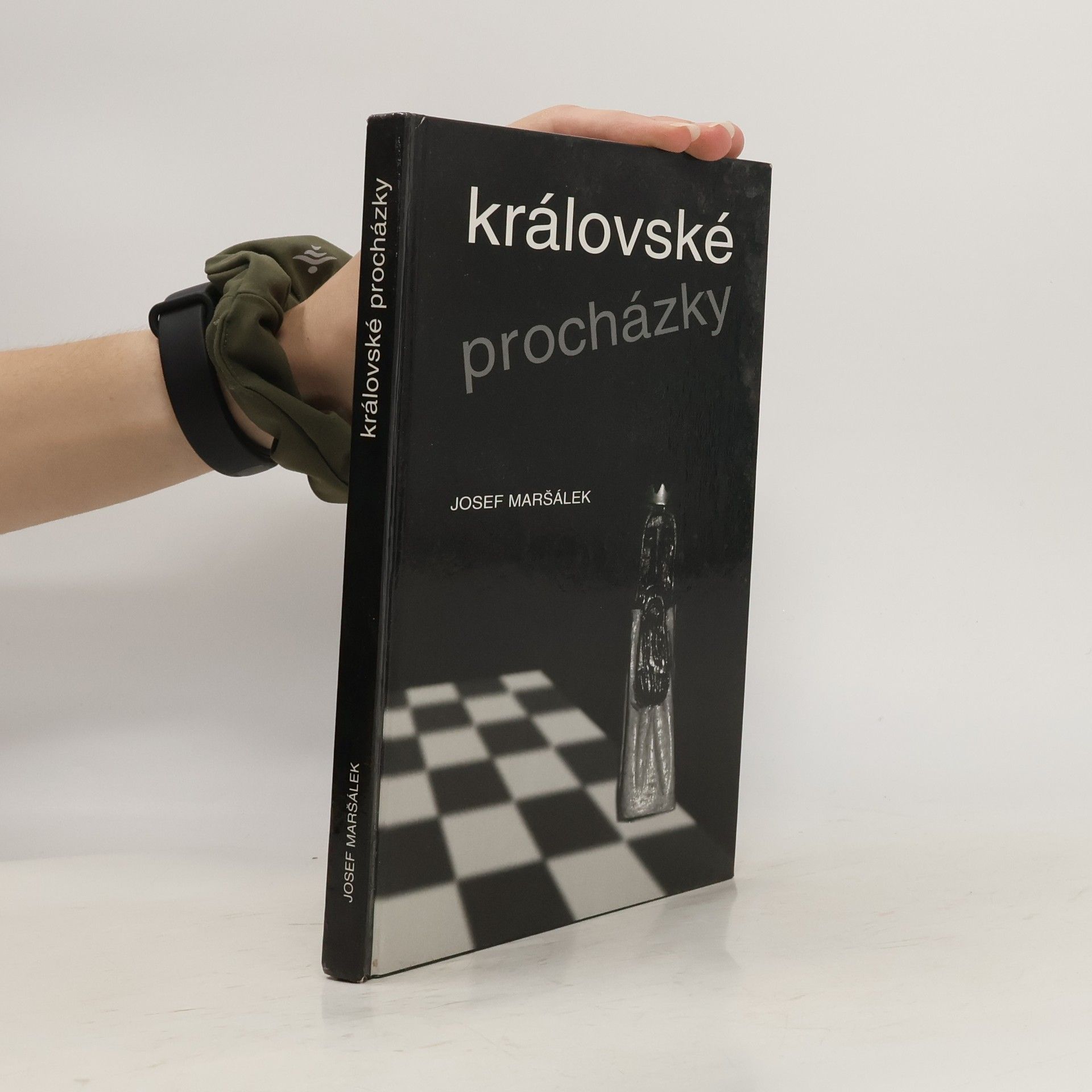 Josef Maršál Královské procházky