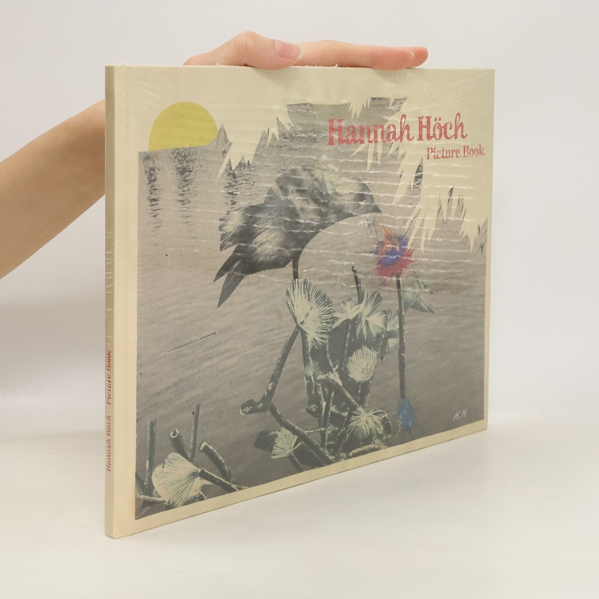 Hannah Hoch Picture book