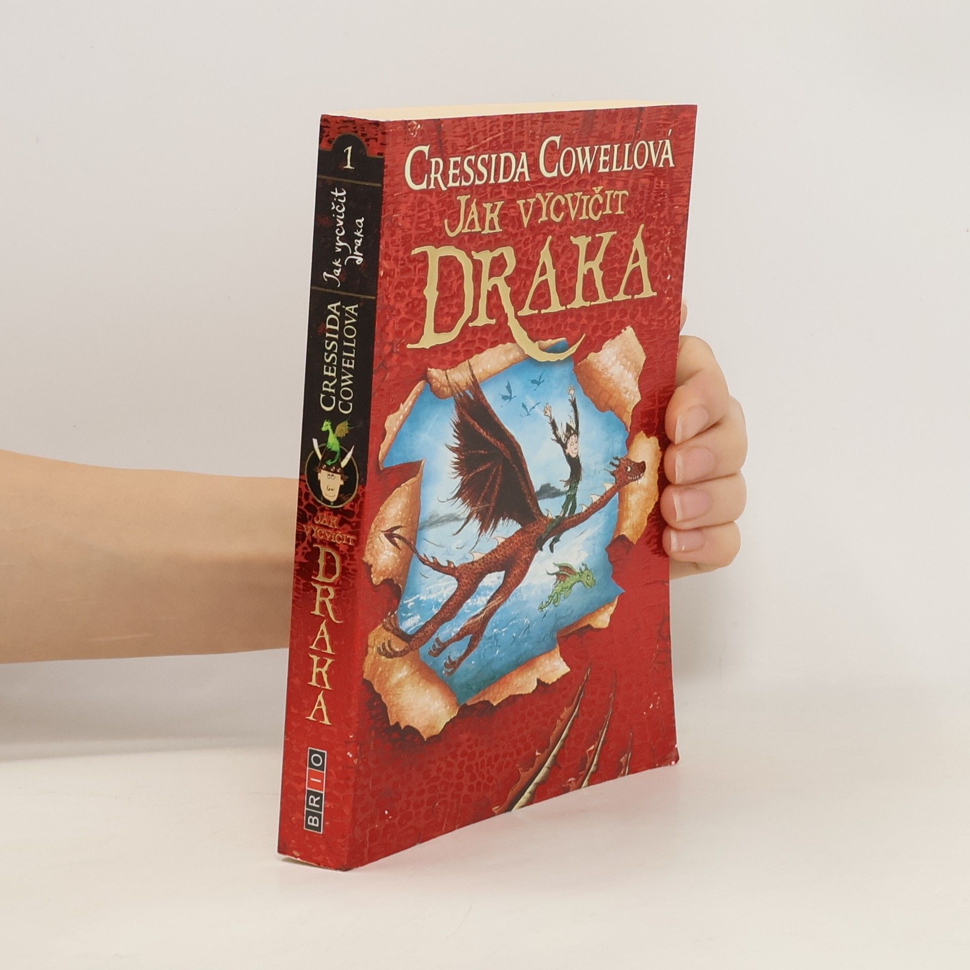 Cressida Cowell Jak vycvičit draka