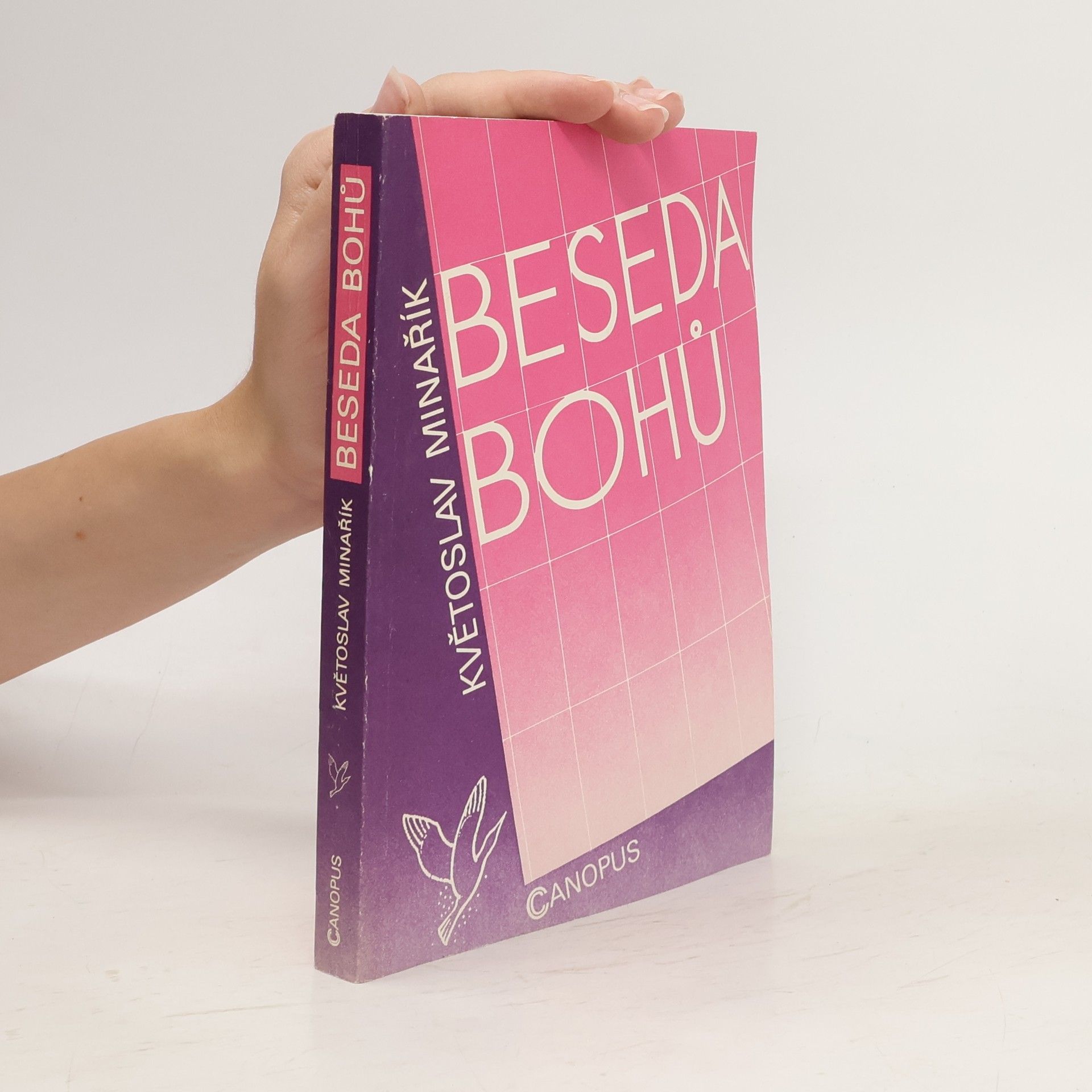 Květoslav Minařík Beseda bohů