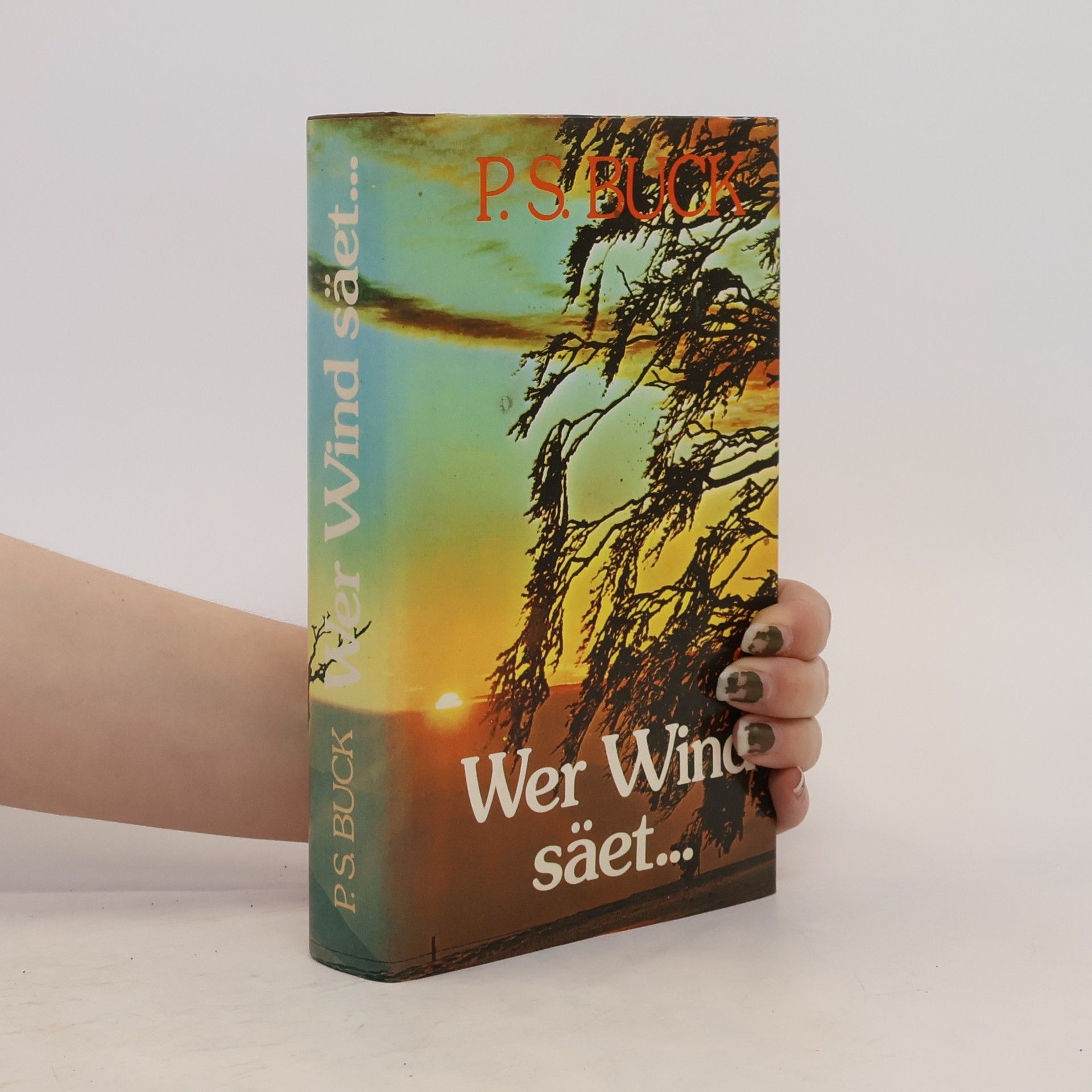 Pearl S. Buck Wer Wind säet ...