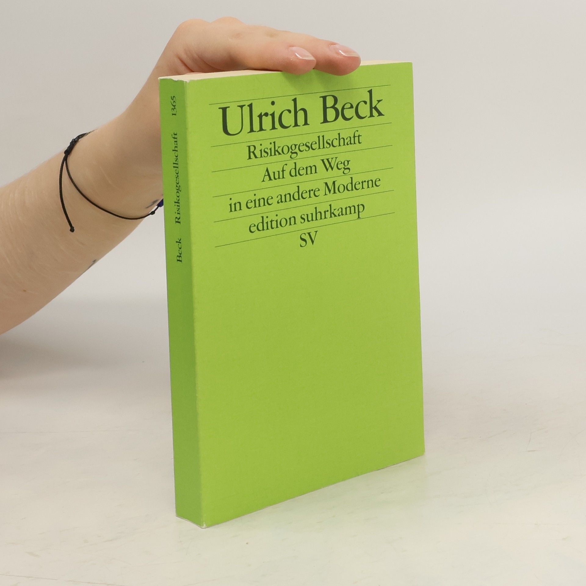 Ulrich Beck Risikogesellschaft
