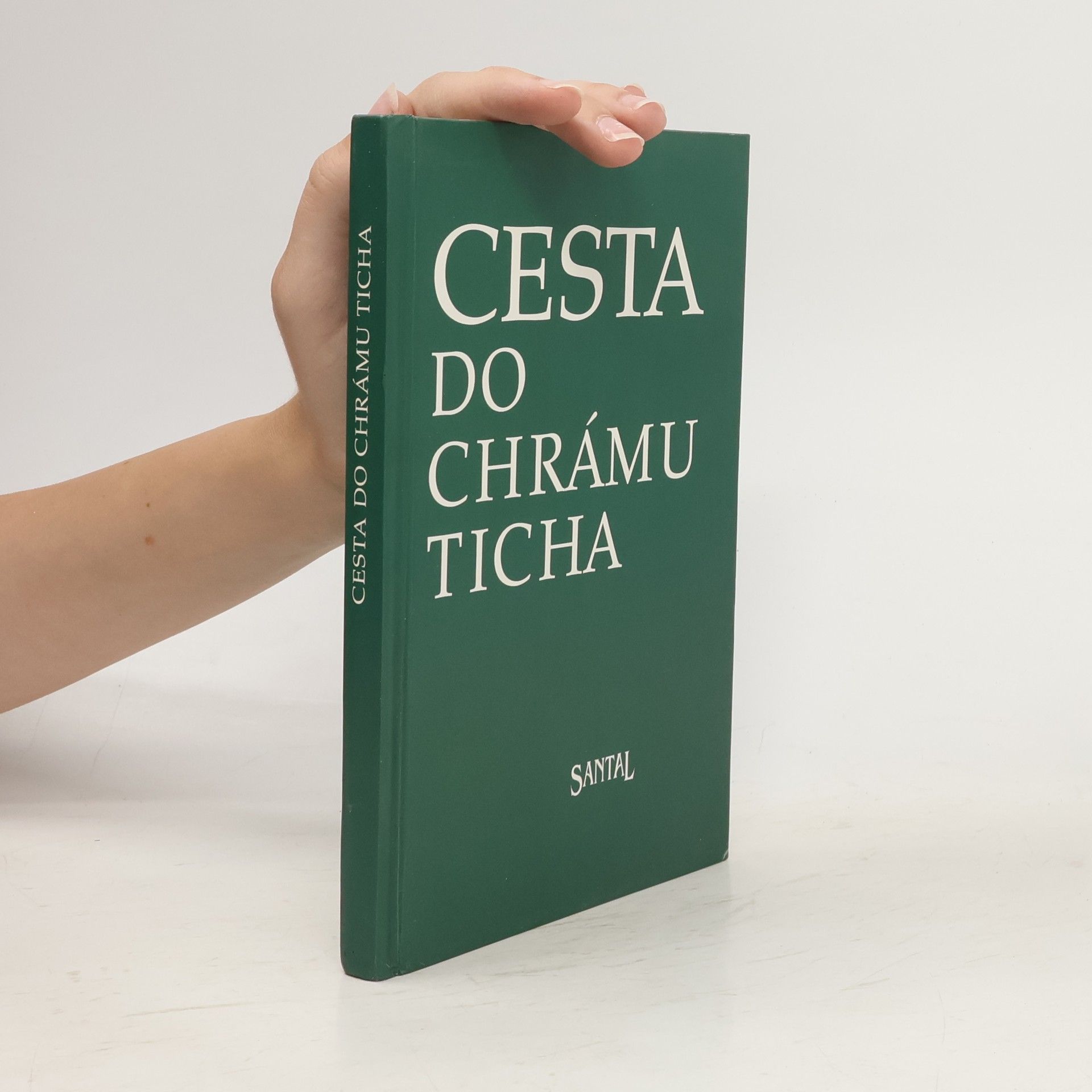 Marie Mihulová Cesta do chrámu ticha: Hledání smyslu a podstaty života