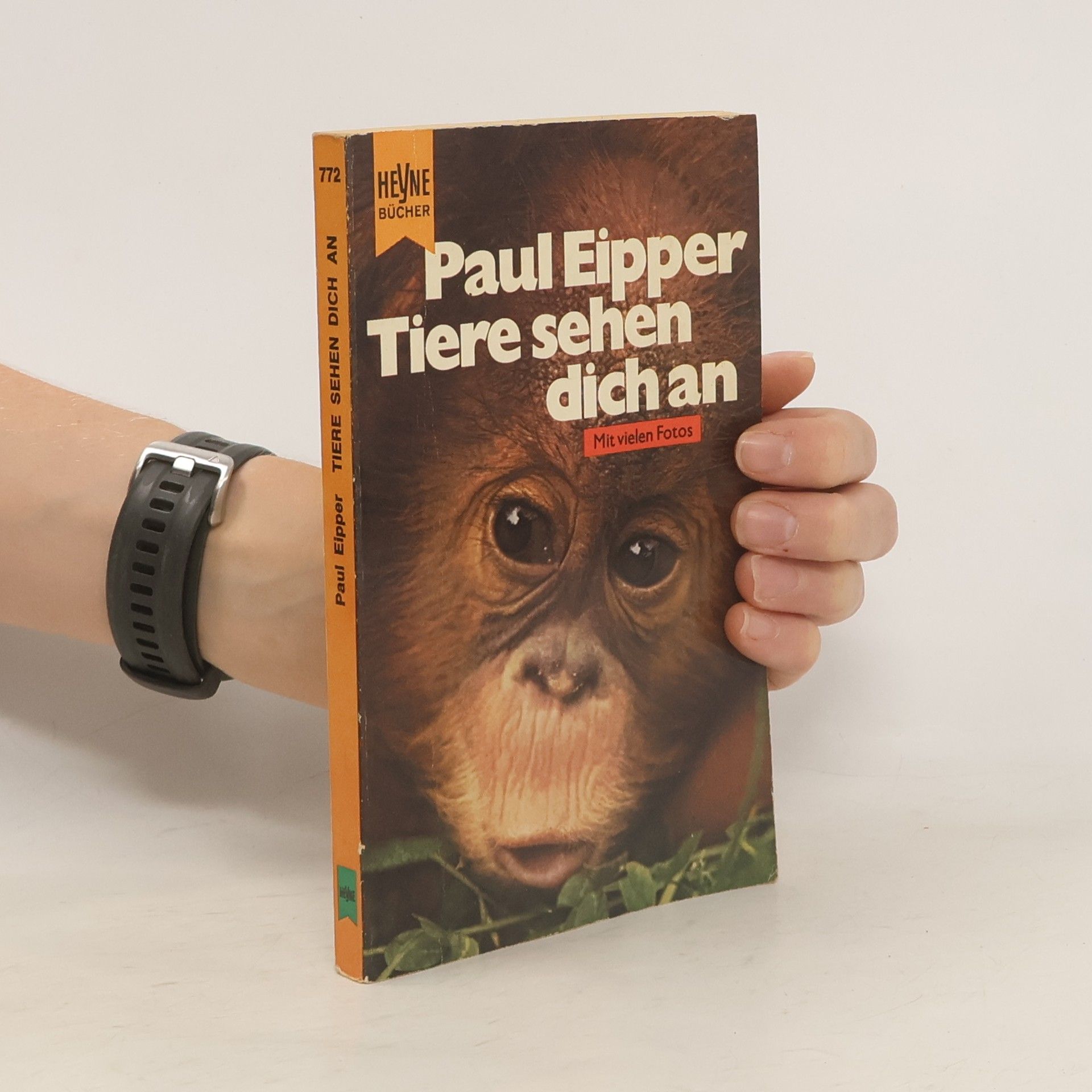 Paul Eipper Tiere sehen dich an