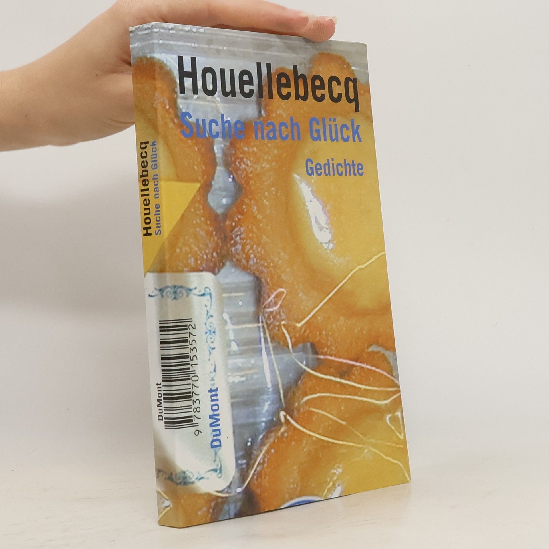 Michel Houellebecq Suche nach Glück