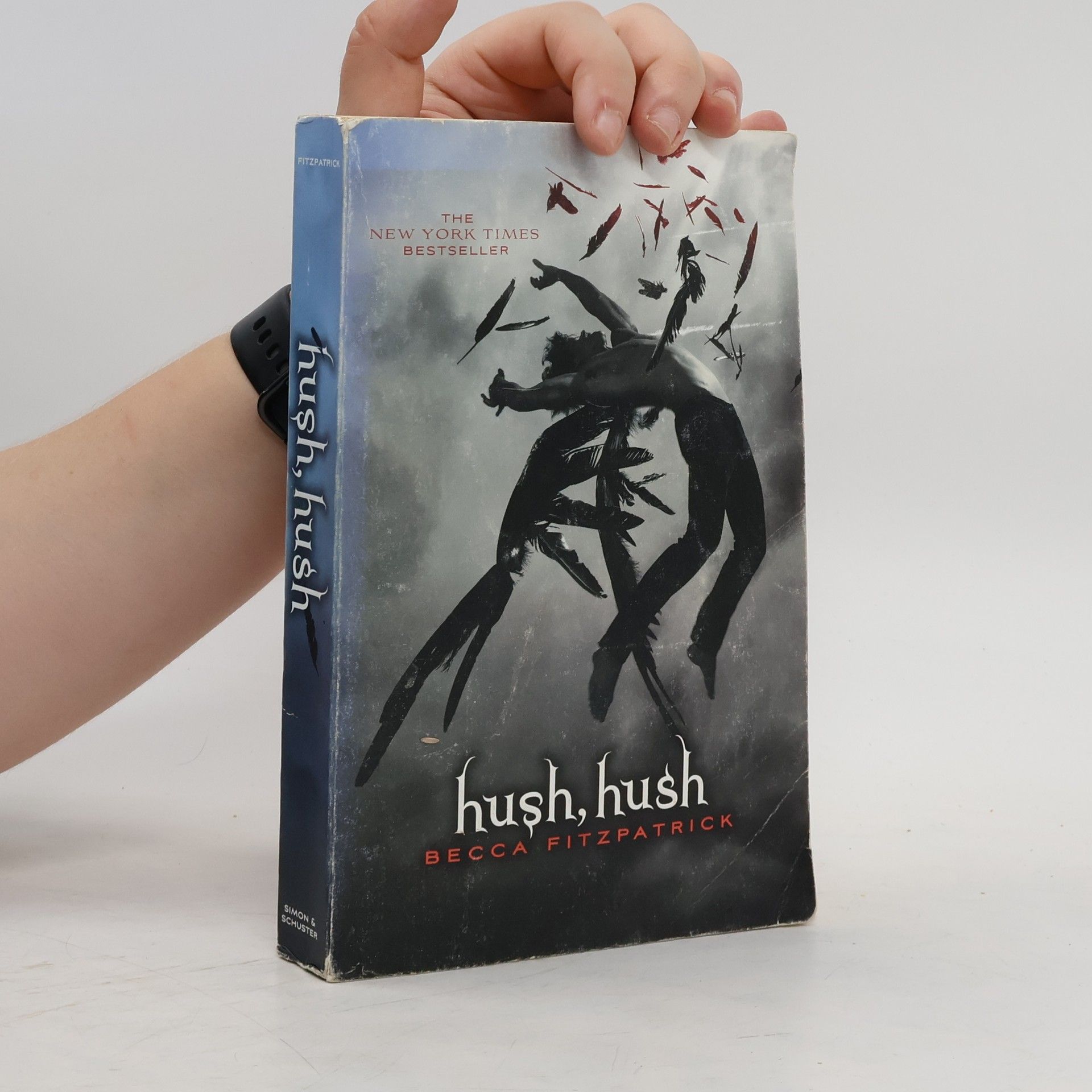 Becca Fitzpatrick Hush, Hush