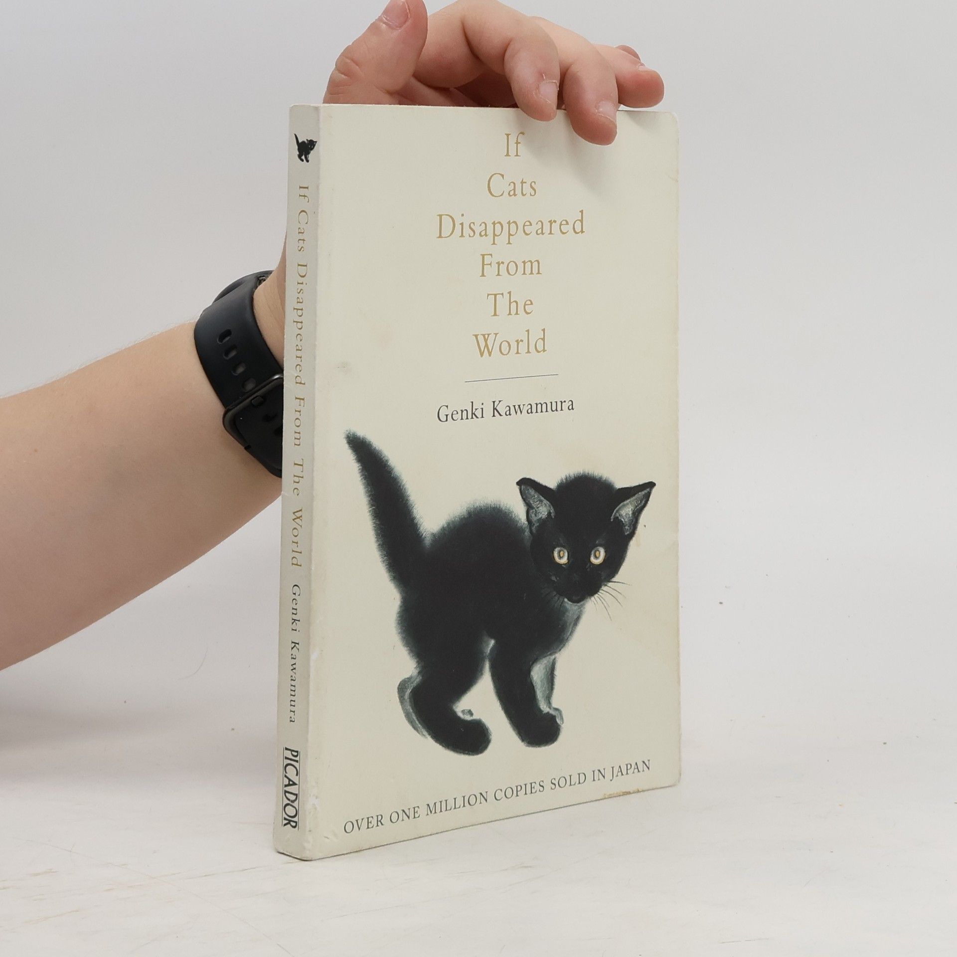 Genki Kawamura If Cats Disappeared from the World