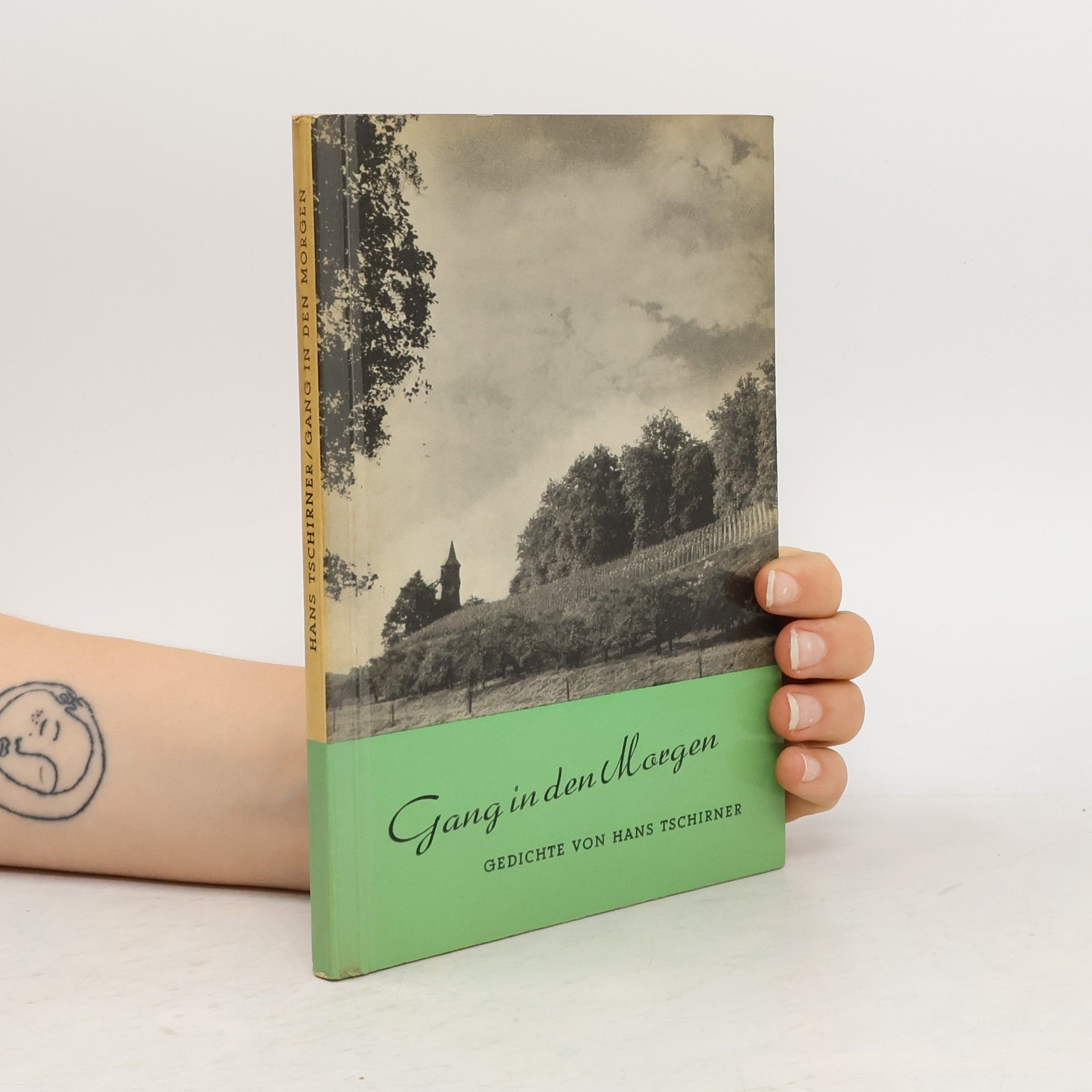 Hans Tschirner Gang in den Morgen. Gedichte