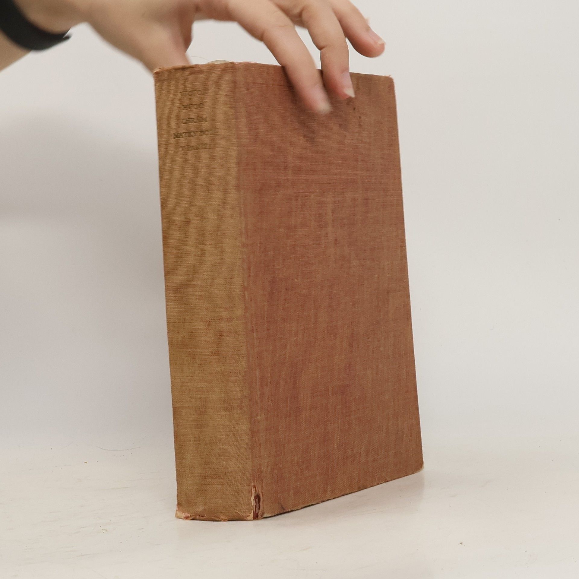 Victor Hugo Chrám Matky Boží v Paříži