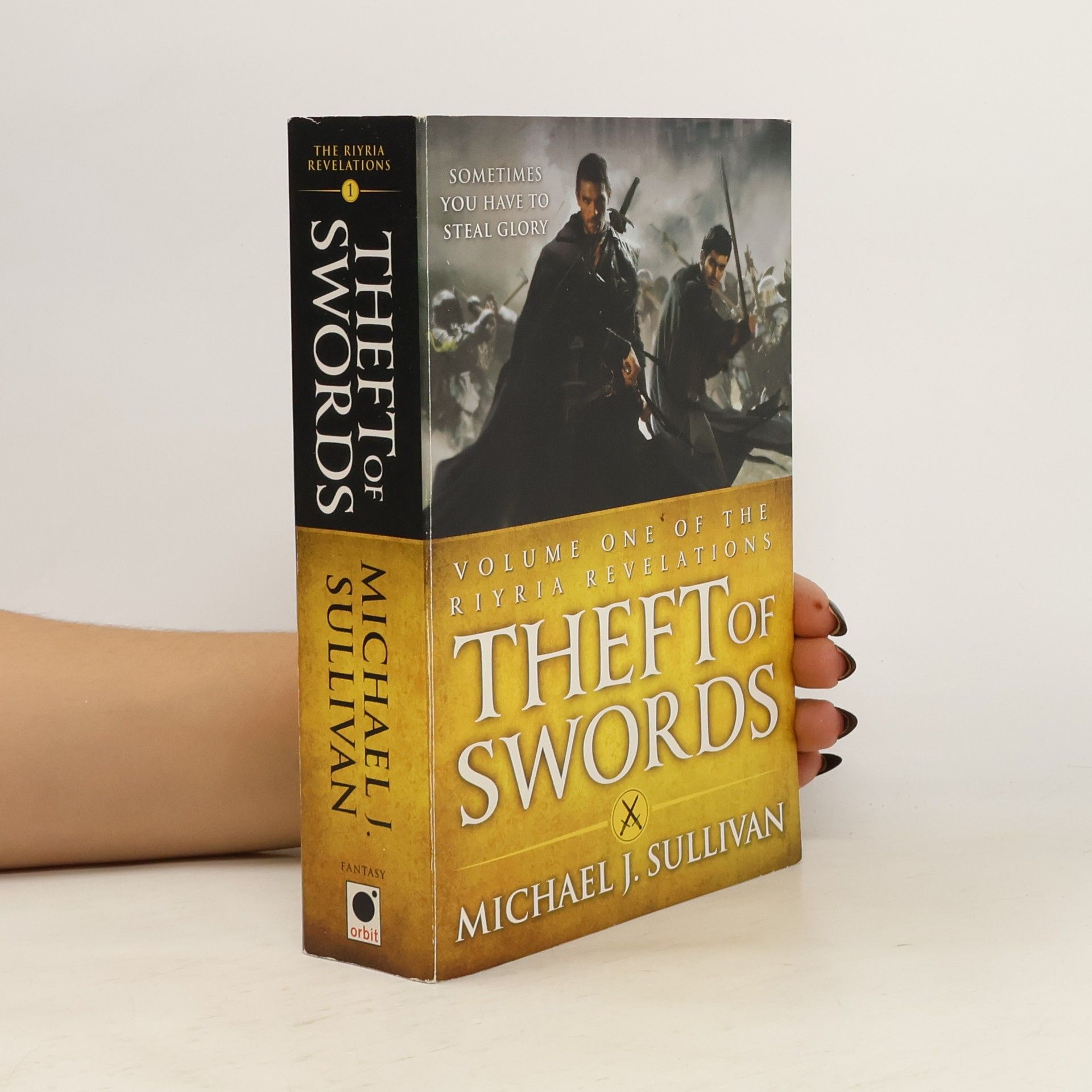 Michael J. Sullivan Theft of Swords
