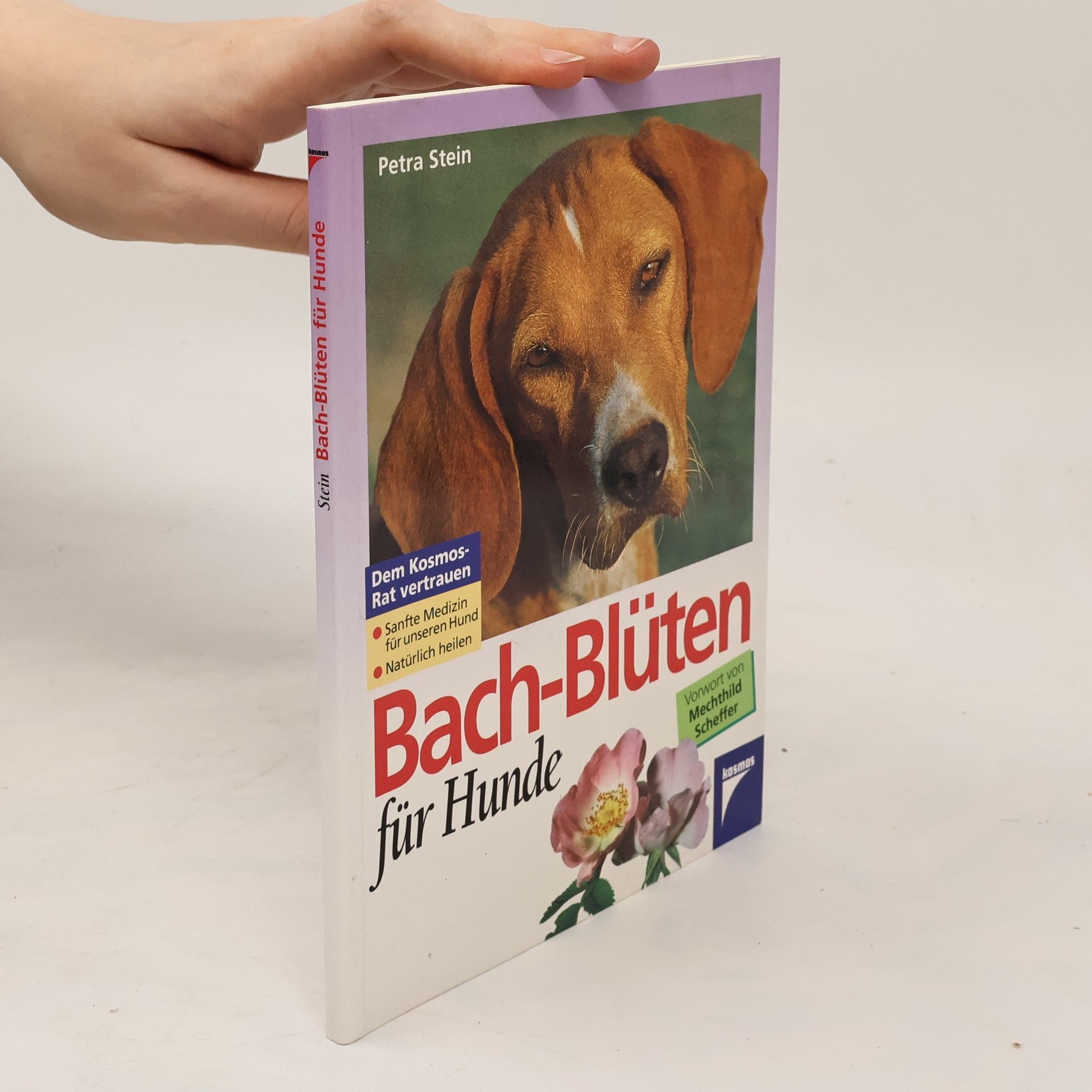 Petra Stein Bach-Blüten für Hunde