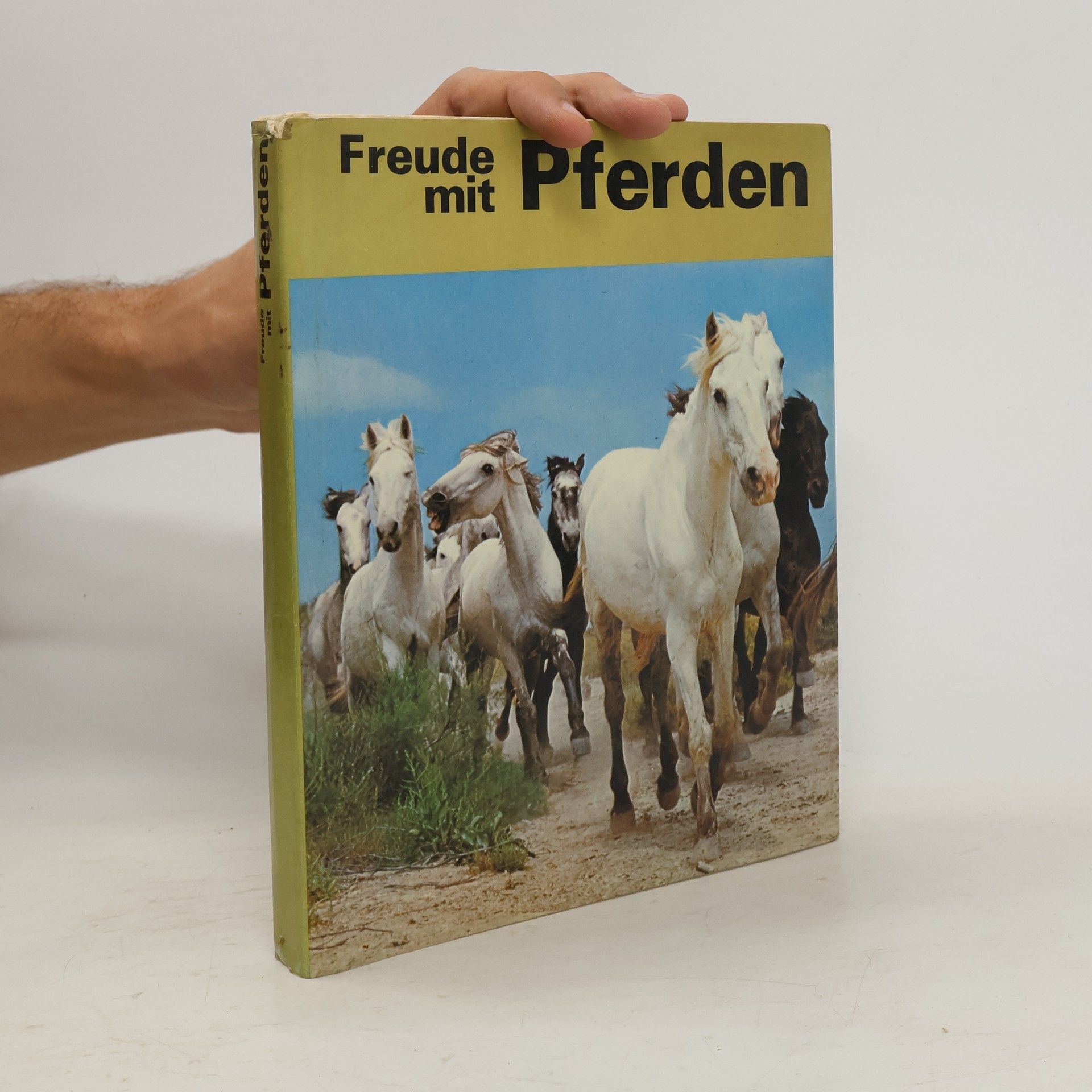 Evelyne Kolnberger Freude mit Pferden