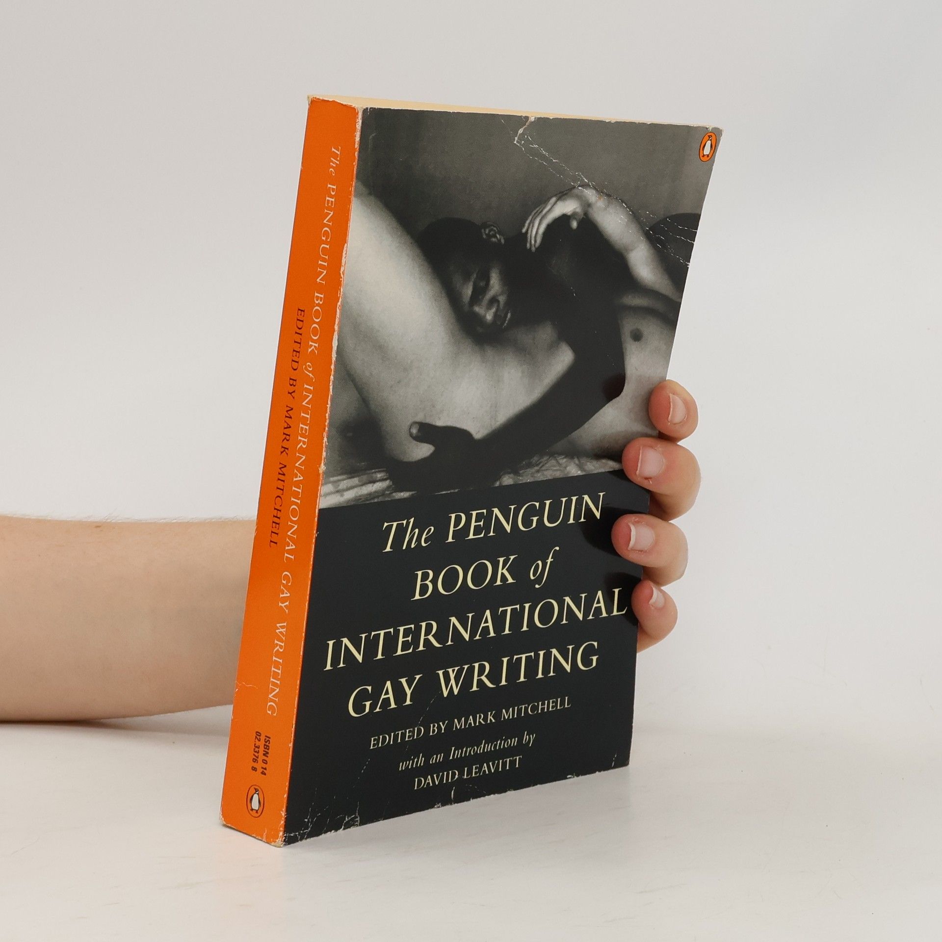 M. Mitchell The Penguin Book of International Gay Writing