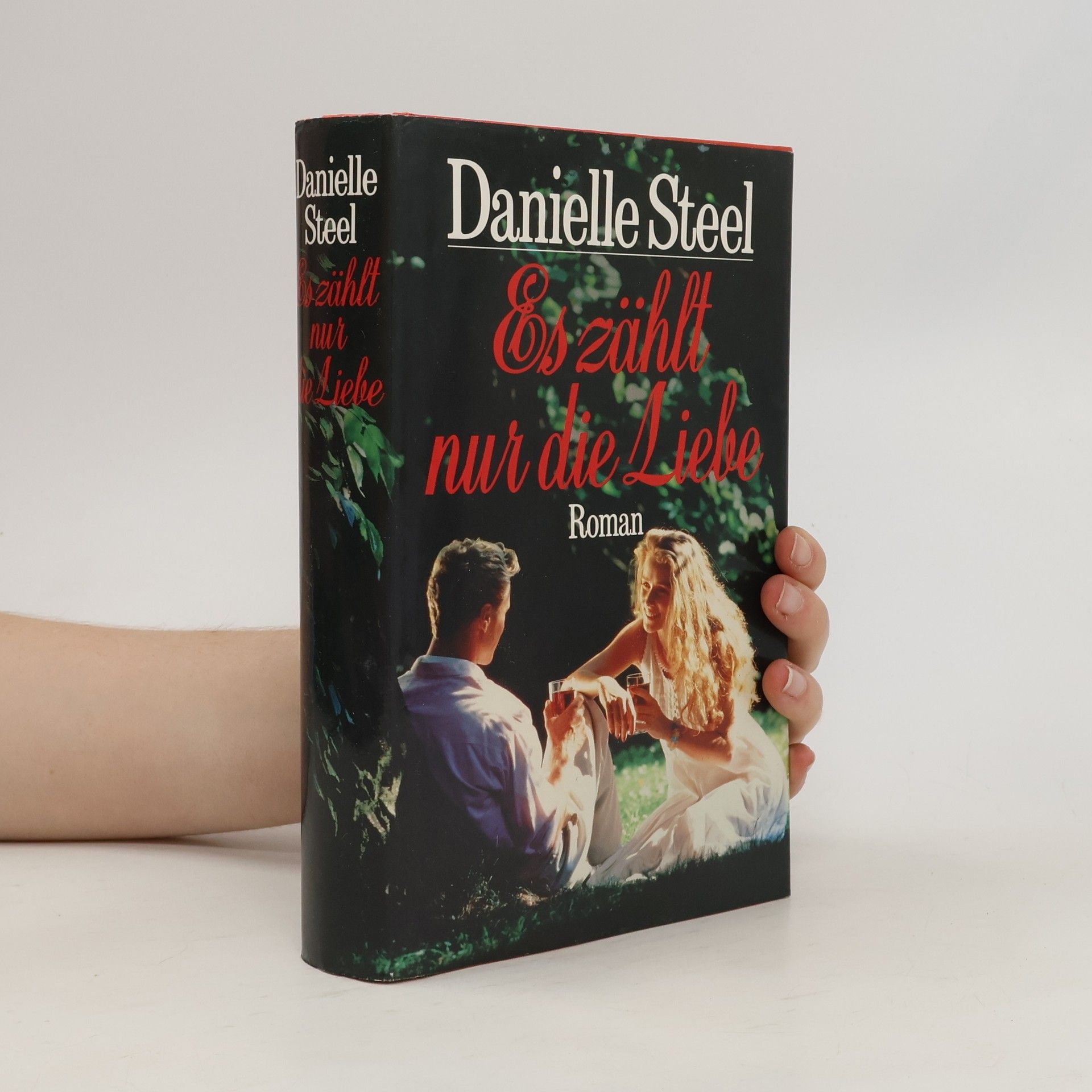 Danielle Steel Es zählt nur die Liebe