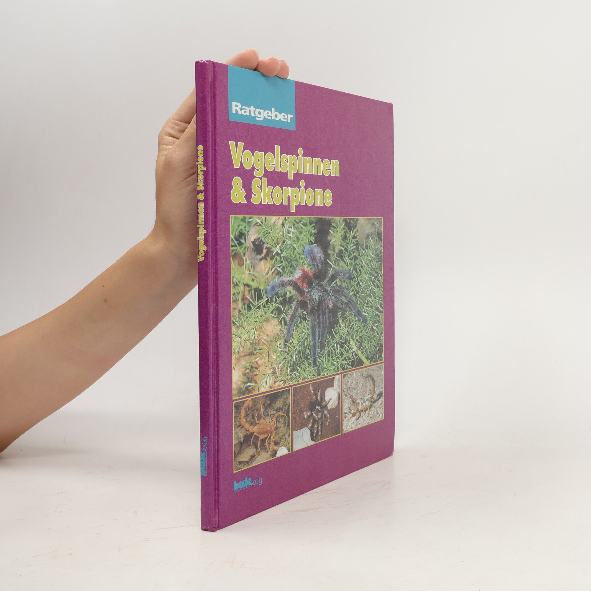 kolektiv Vogelspinnen & Skorpione