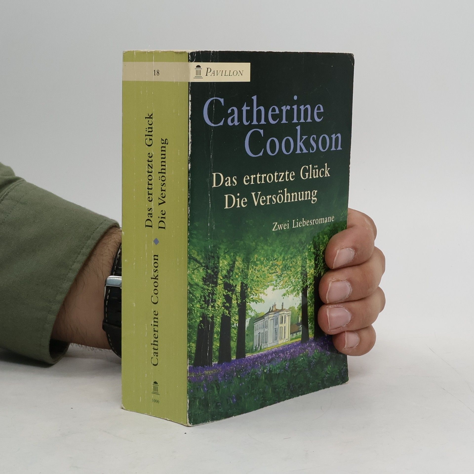 Catherine Cookson Das ertrotzte Glück. Die Versöhnung